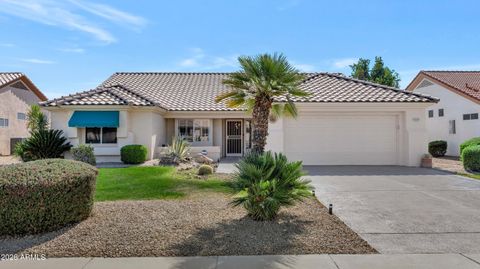 14225 W SKY HAWK Drive Sun City West AZ 85375