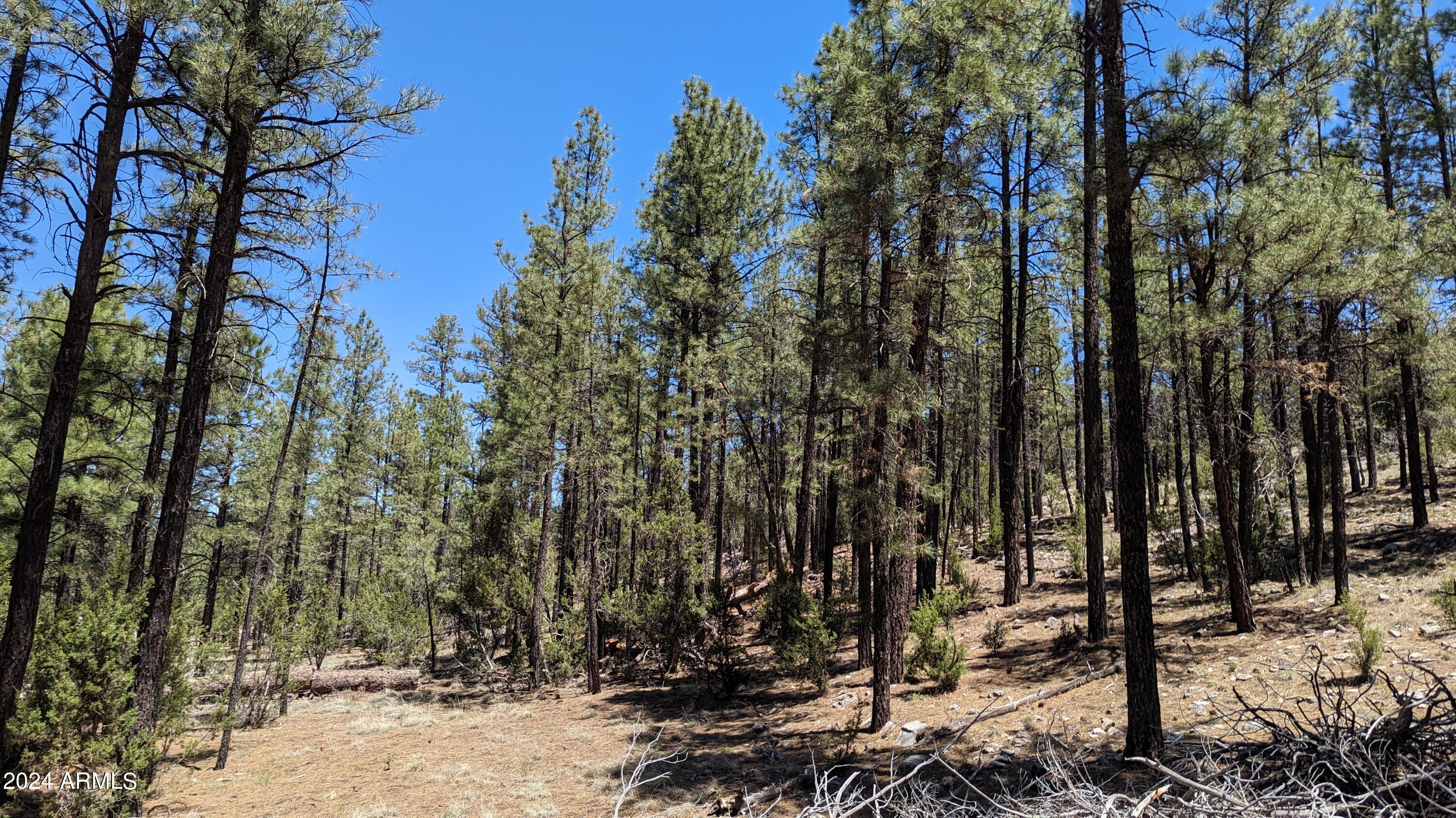 2968 CONSTELLATION Lane -