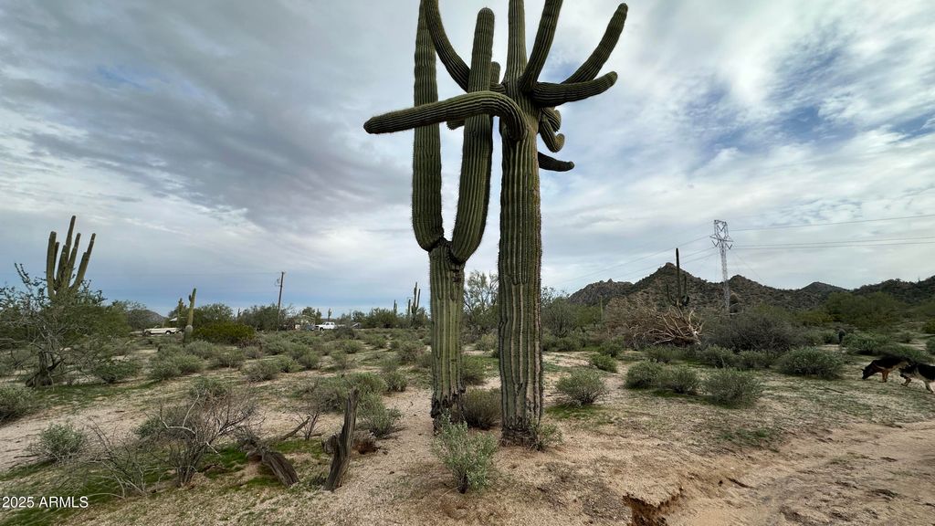 Photo of 0 W Robin Road #031, Maricopa, AZ 85139 (MLS # 6950651)