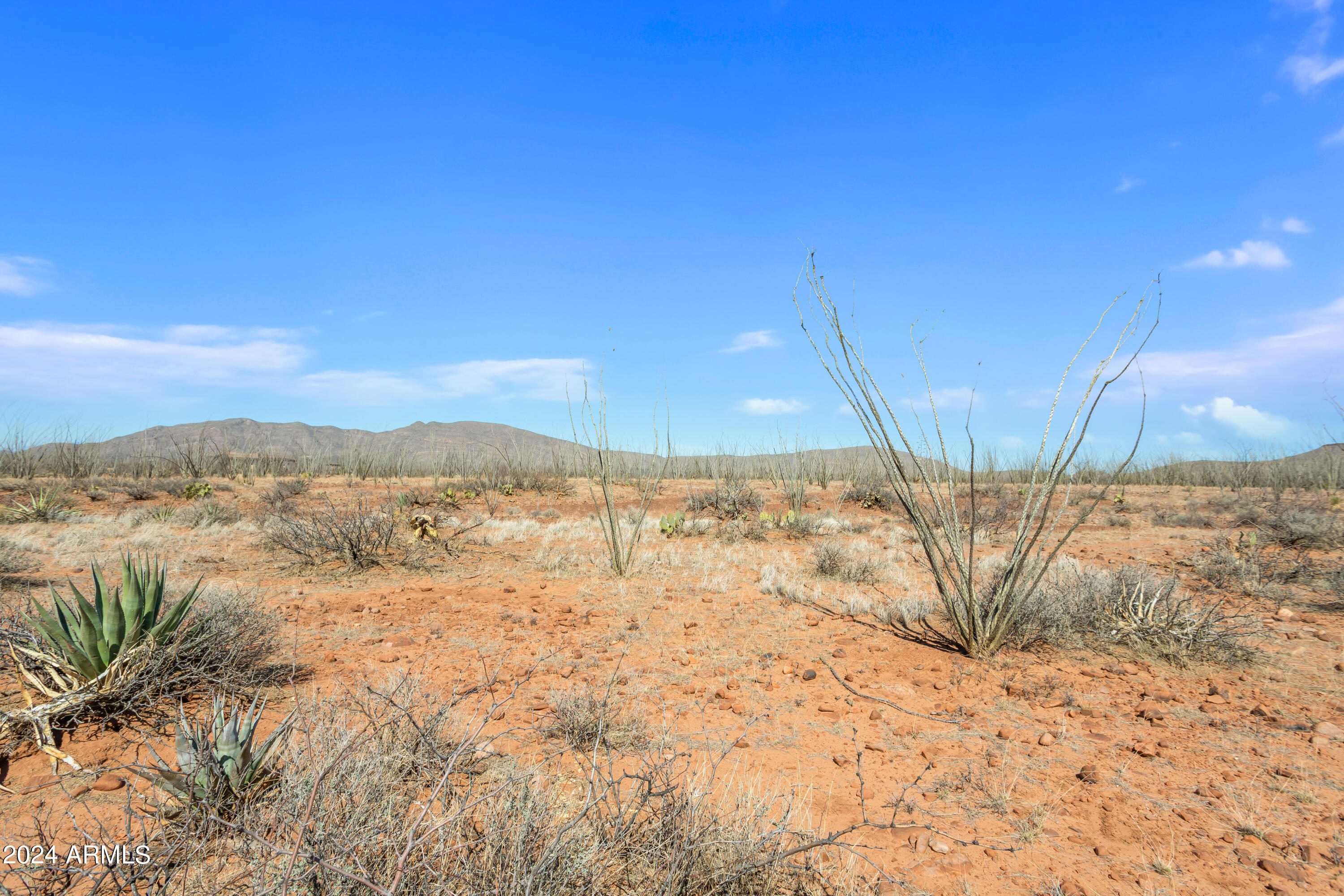 MULE MOUNTAIN RANCHES PHASE 3 - Land