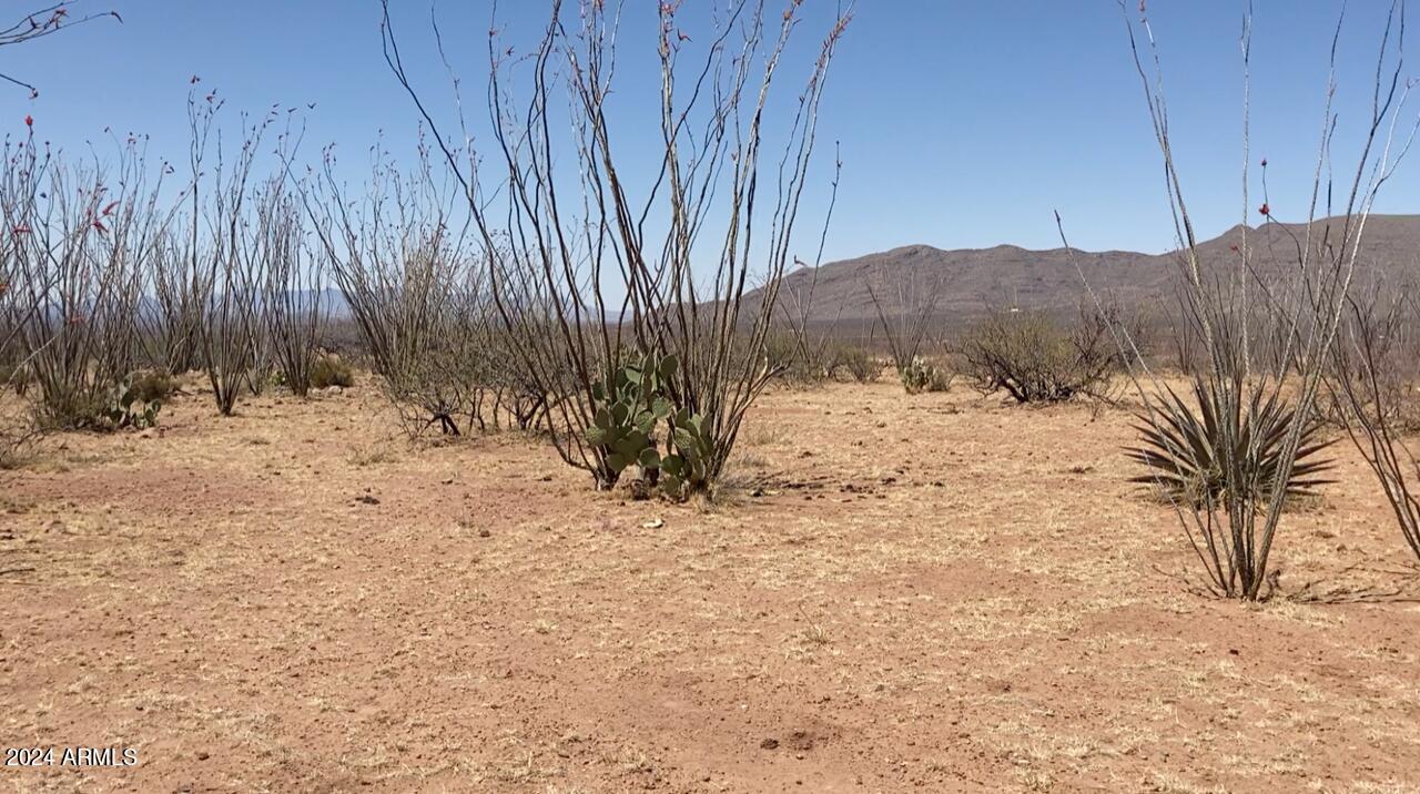 MULE MOUNTAIN RANCHES PHASE 3 - Land