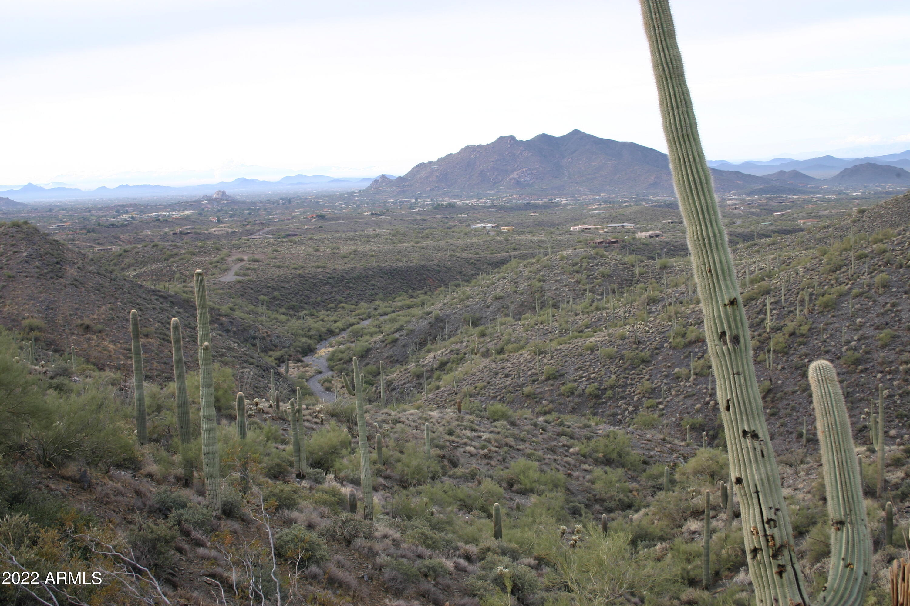 40802 N BRANGUS Road -