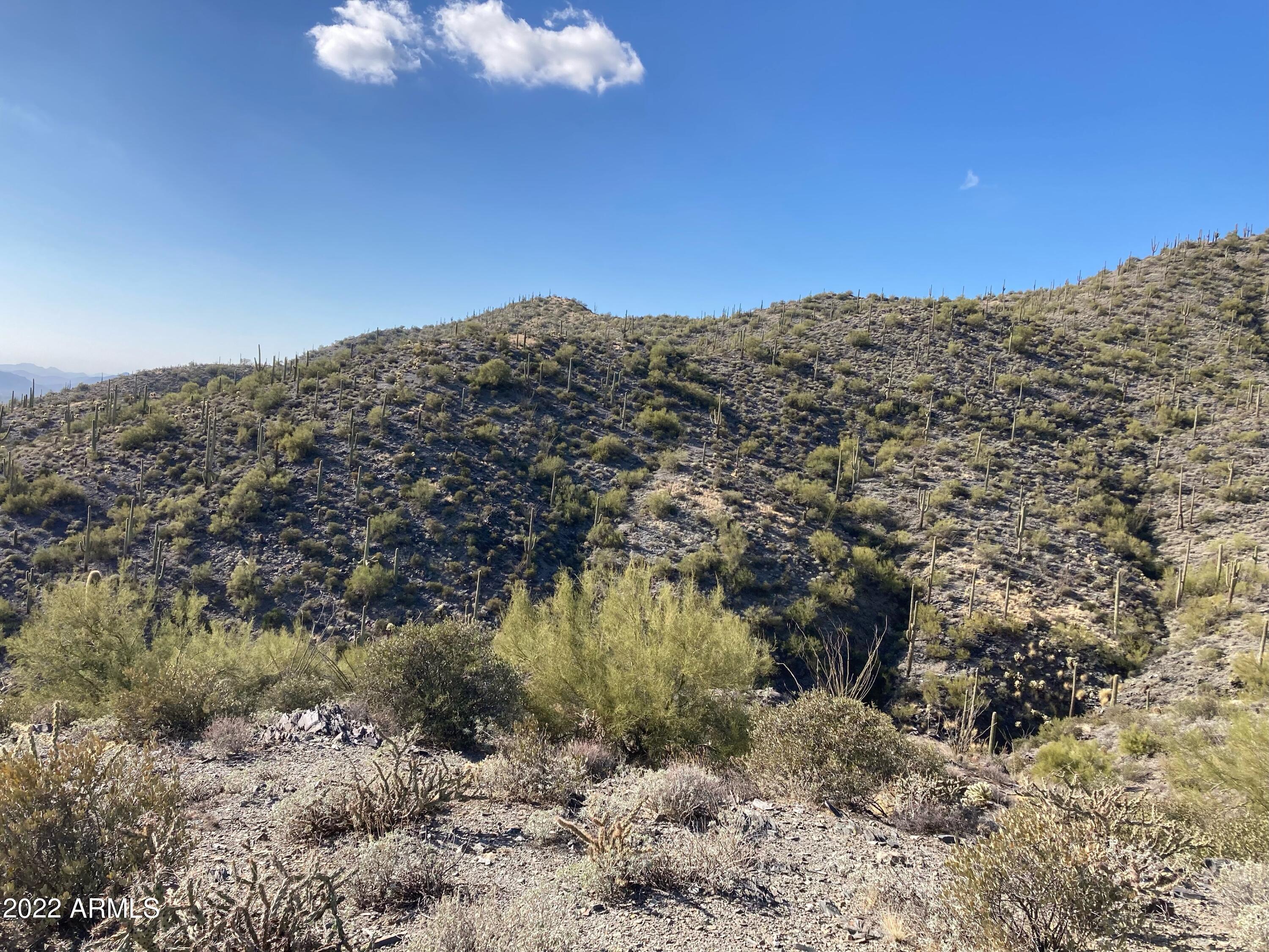 40802 N BRANGUS Road -