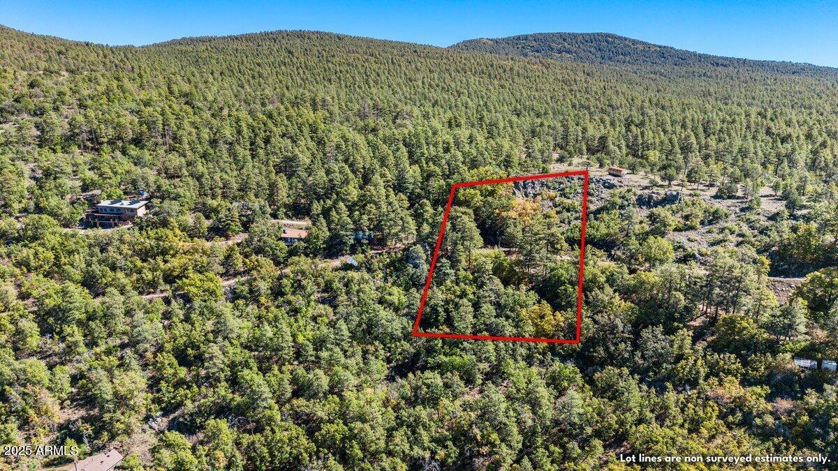 117 1/2 Paradise Dr -- NW