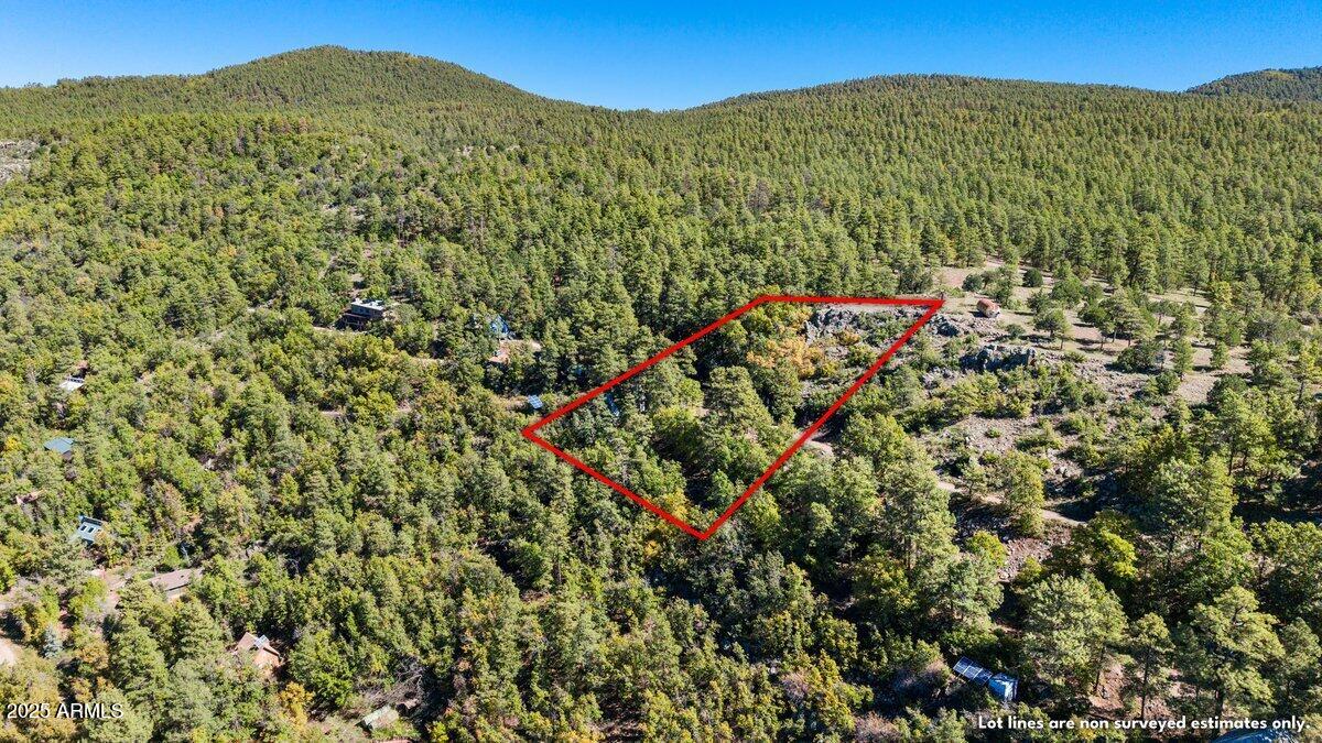 117 1/2 Paradise Dr -- NW