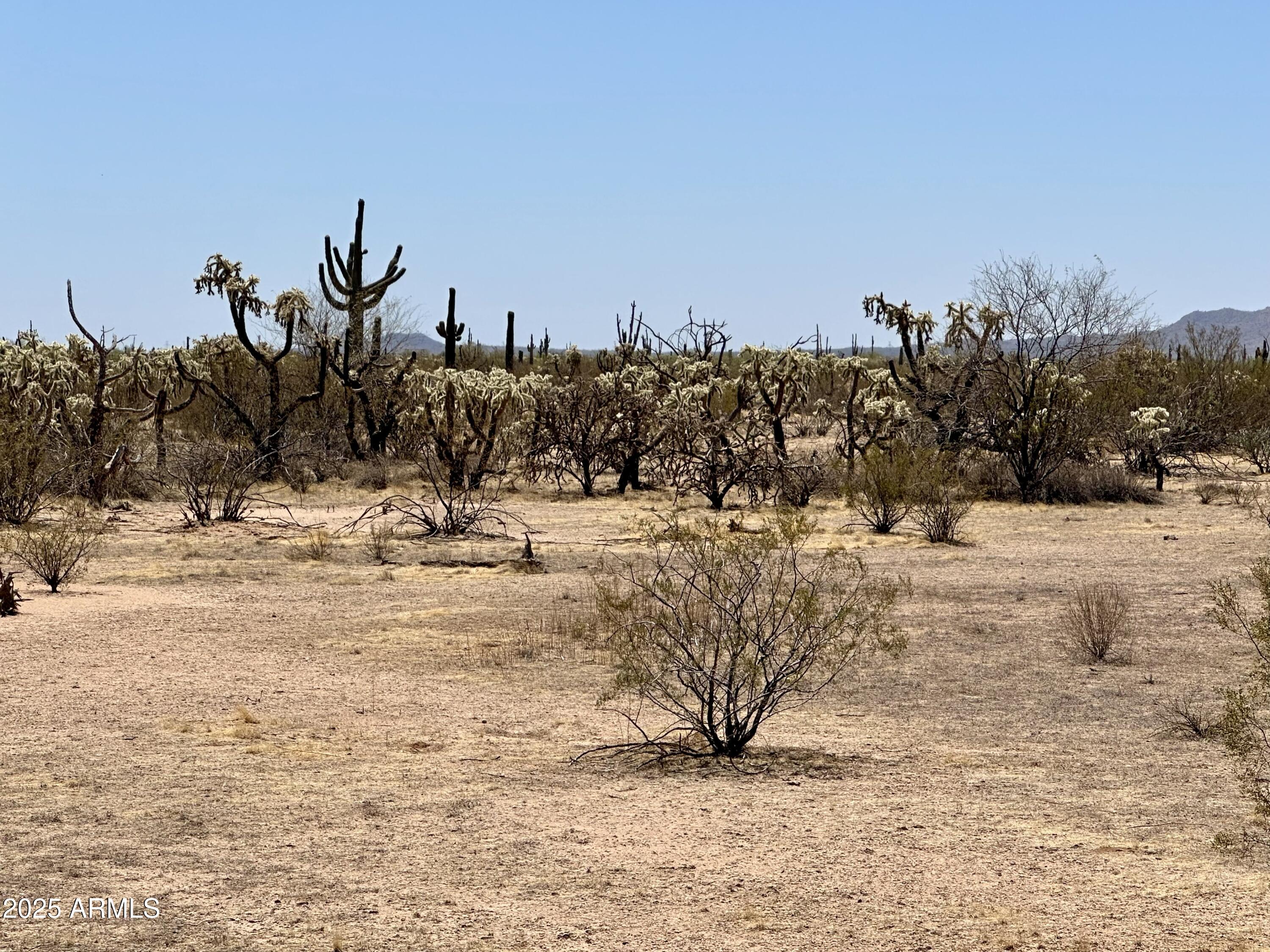 0 Rattlesnake View -- -