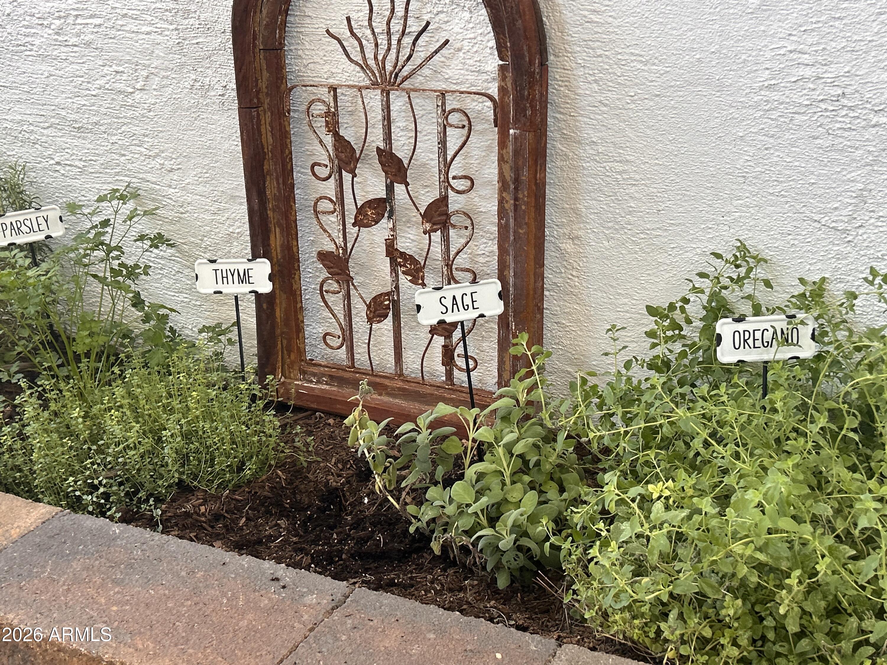 3243 E CAMELBACK Road