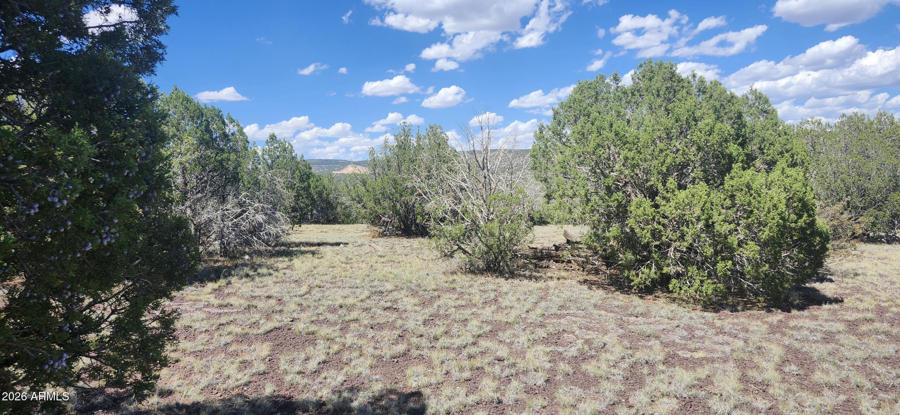 393 W Edgewood Drive -