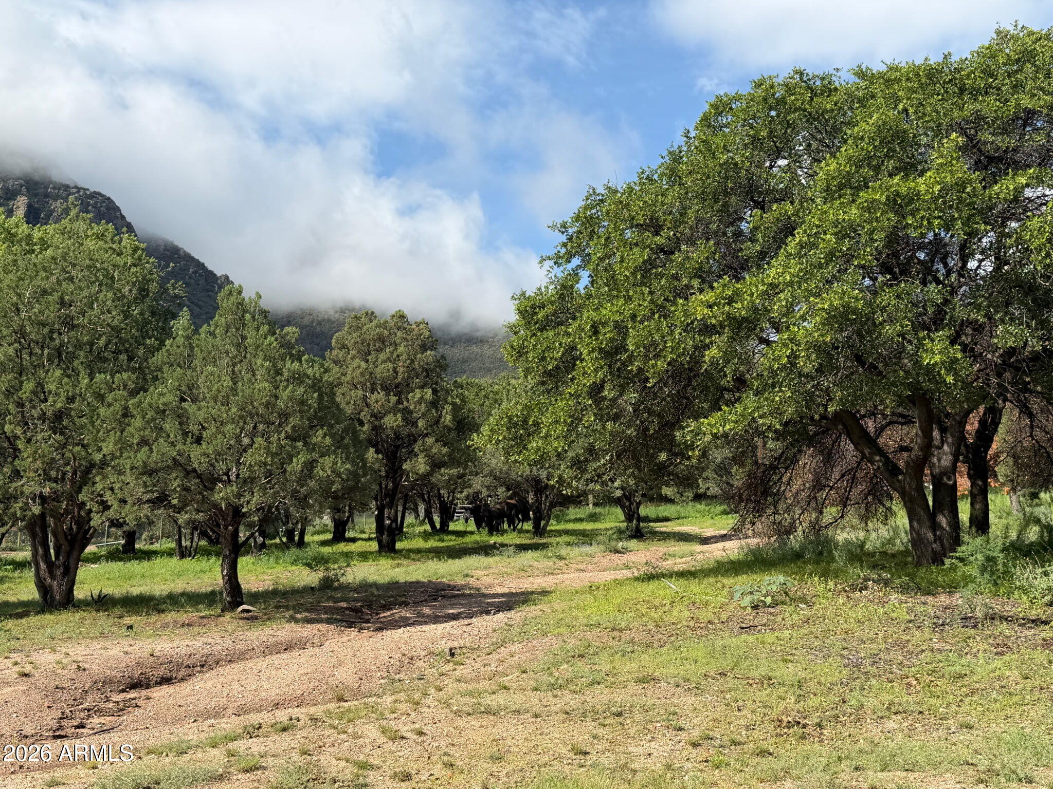 0 E Ramsey Canyon Road -