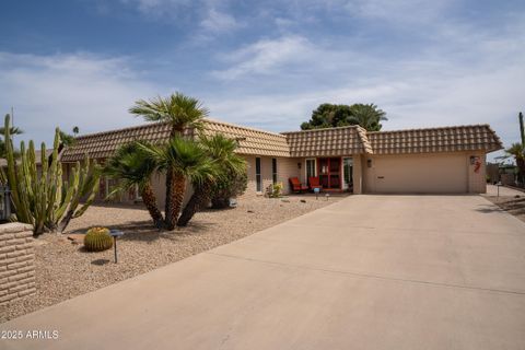 9319 W BRIARWOOD Circle Sun City AZ 85351