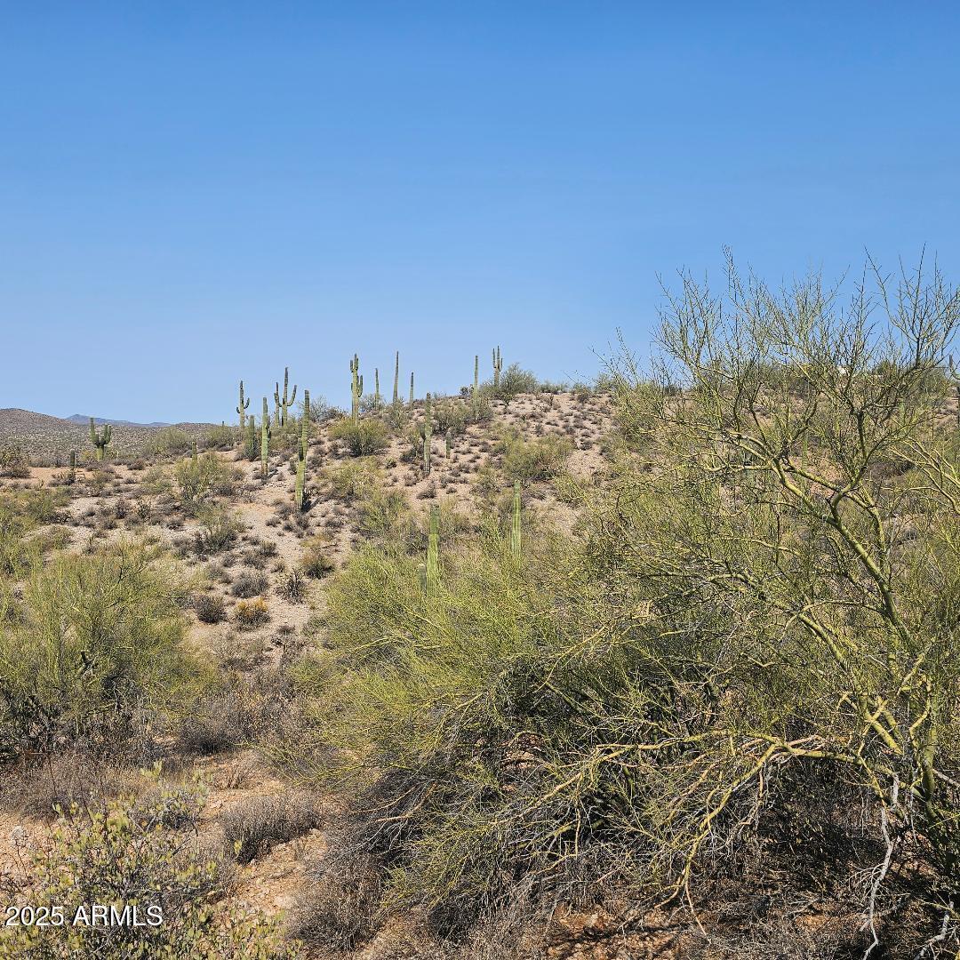 5xxxx N 292nd Avenue 0