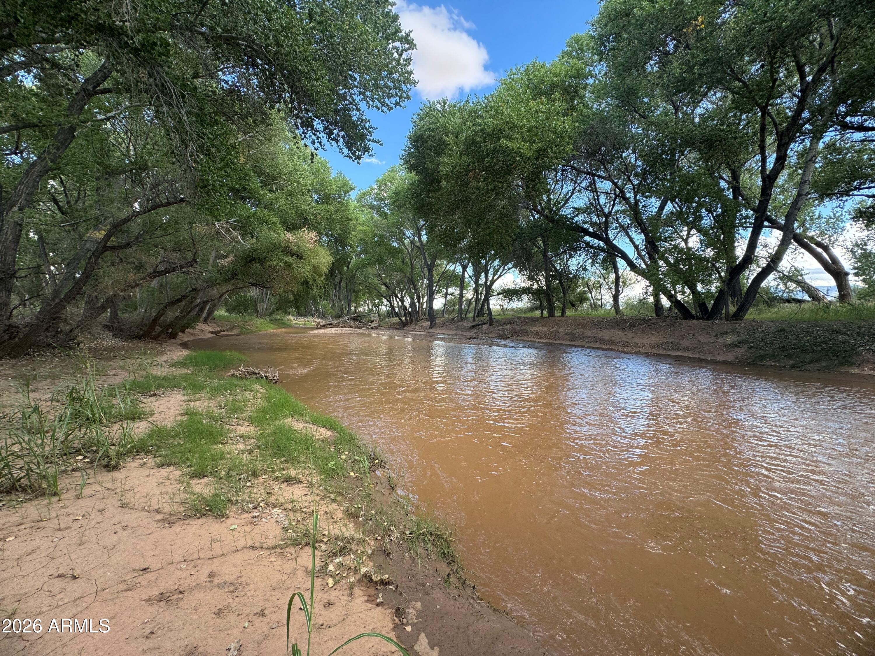 TBD Battle of the Bulls Rec. Camp -- B