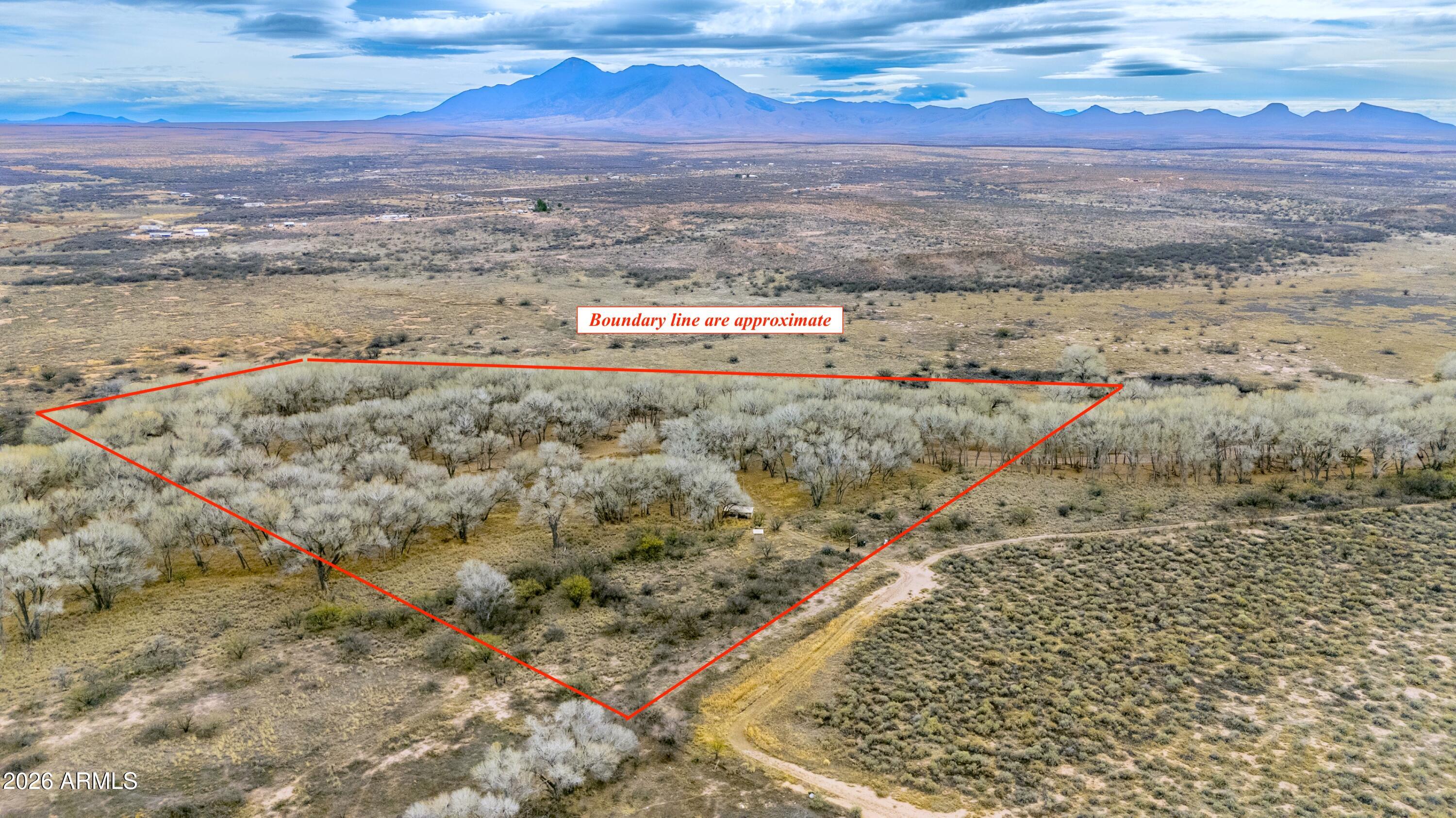 TBD Battle of the Bulls Rec. Camp -- B