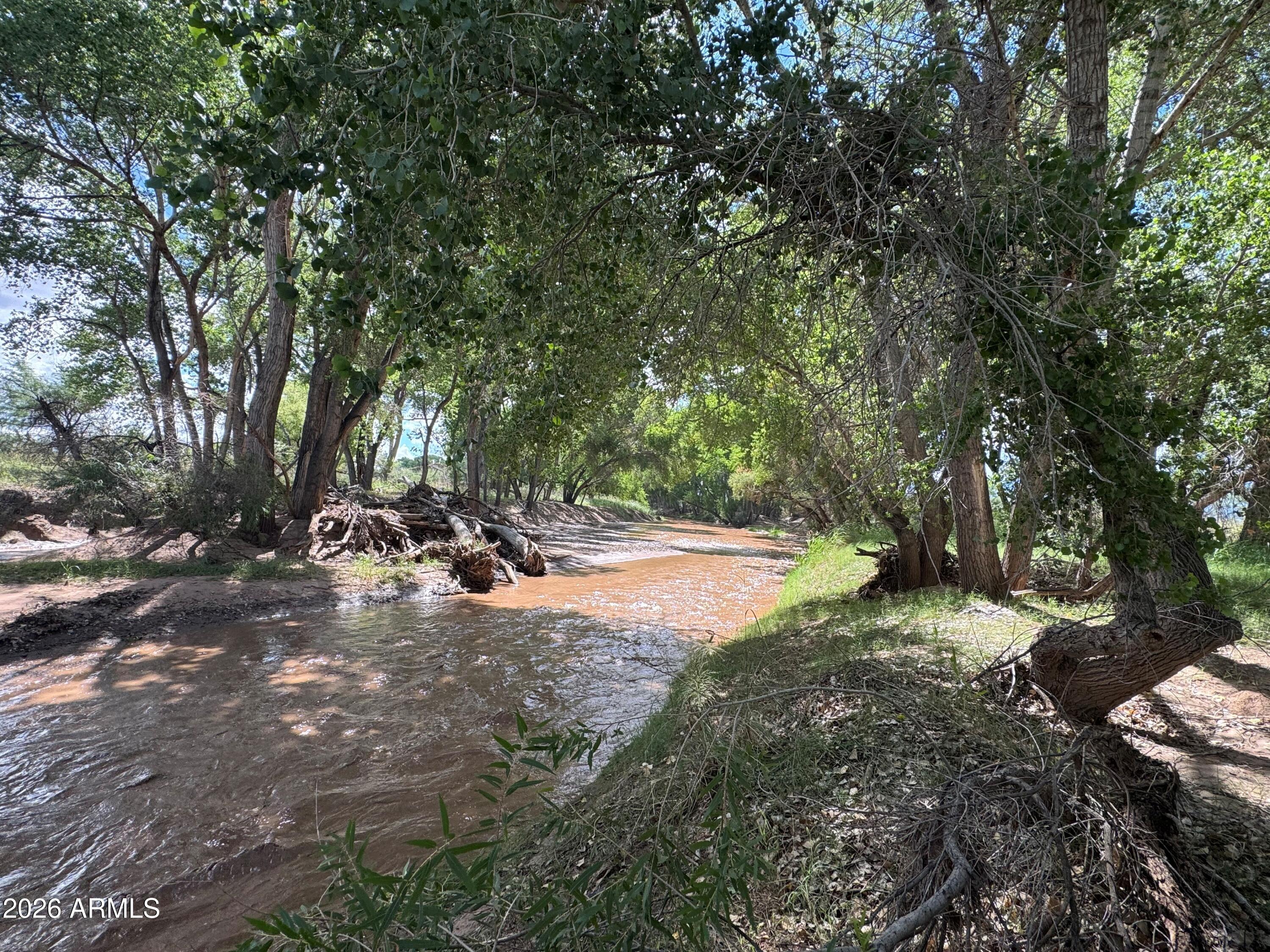TBD Battle of the Bulls Rec. Camp -- B