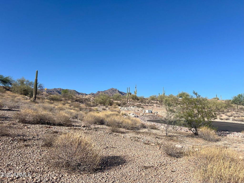 Photo of 9072 E Canyon Creek Drive #16, Gold Canyon, AZ 85118 (MLS # 6885622)