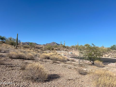 9072 E CANYON CREEK Drive 16 Gold Canyon AZ 85118