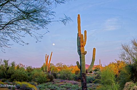 A home in Cave Creek