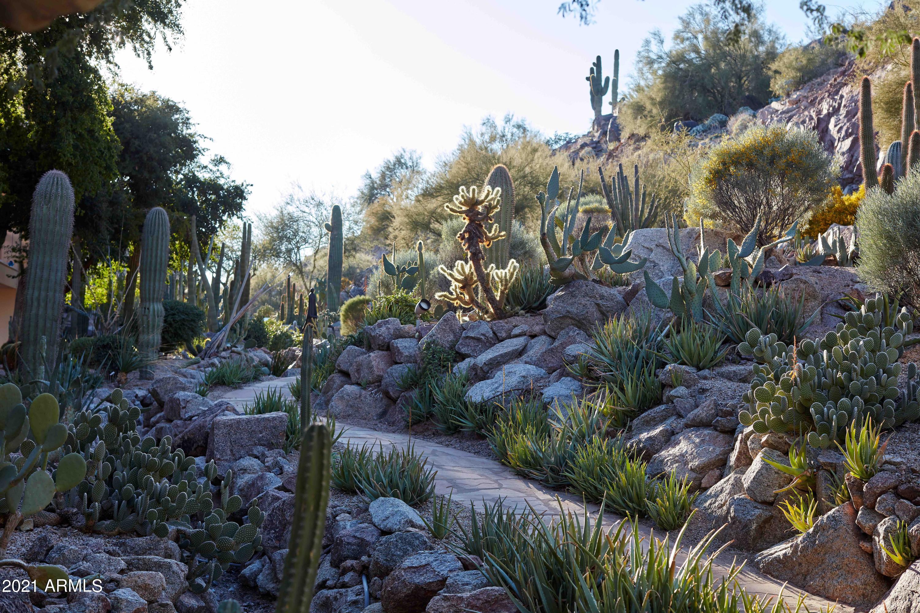 Ascent at the Phoenician - Residential