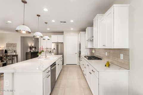 7674 W CACTUS WREN Way Florence AZ 85132