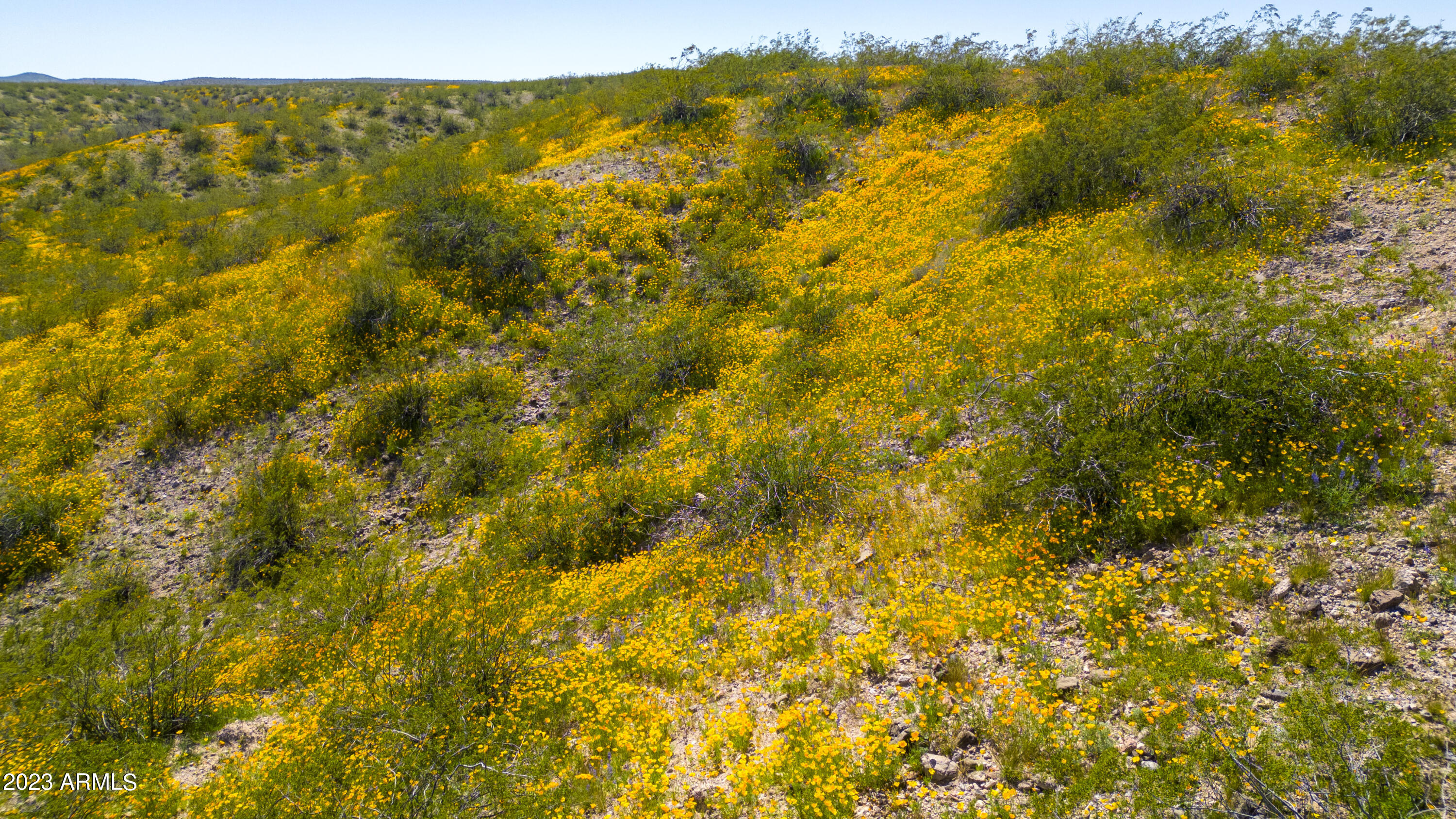 Wickenburg, Arizona 85390, United States, 3 Bedrooms Bedrooms, ,4 BathroomsBathrooms,Residential,Active,163222