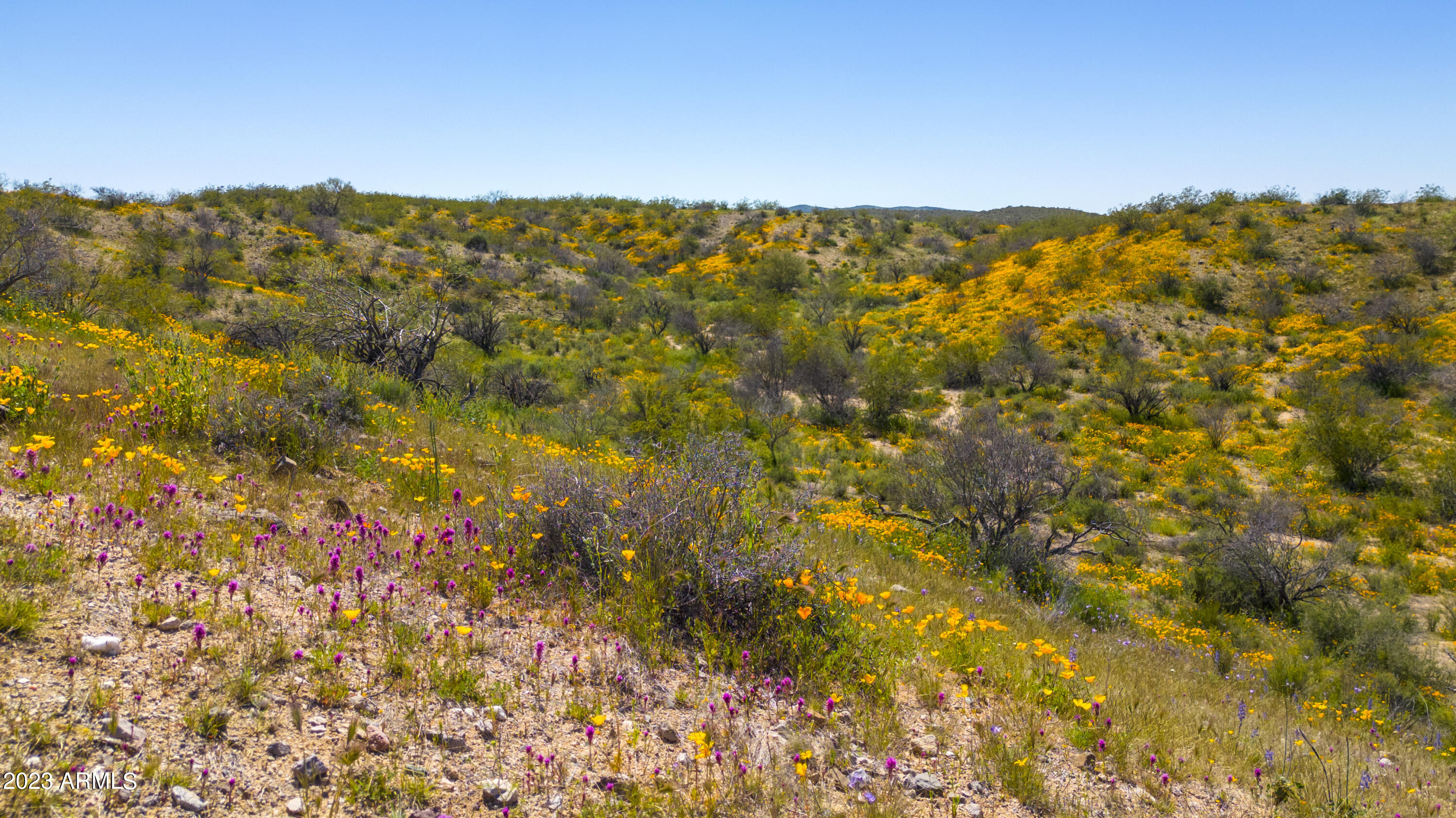 Wickenburg, Arizona 85390, United States, 3 Bedrooms Bedrooms, ,4 BathroomsBathrooms,Residential,Active,163222