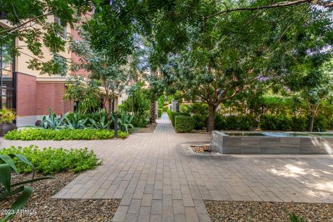 A home in Paradise Valley