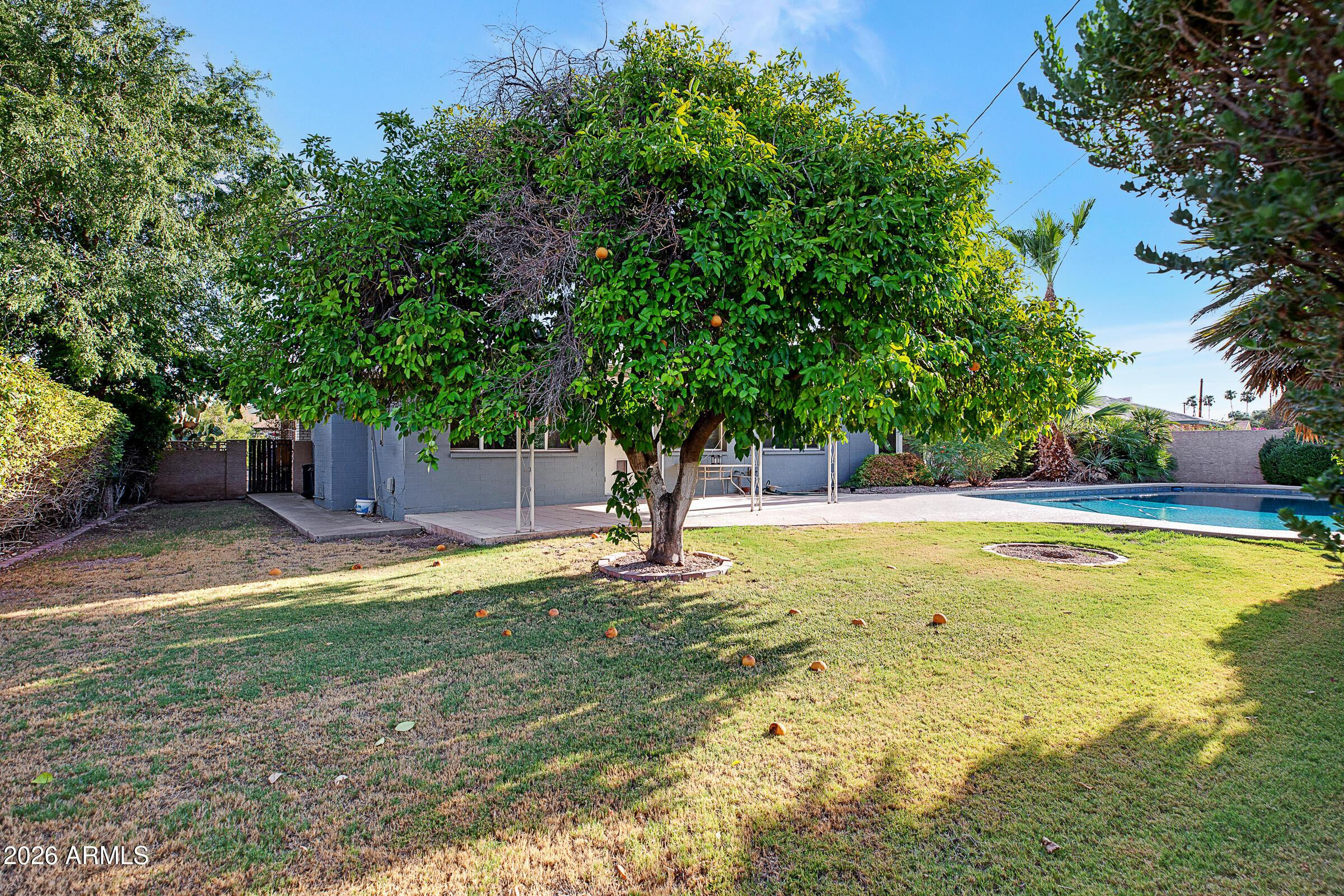 1036 E Geneva Drive