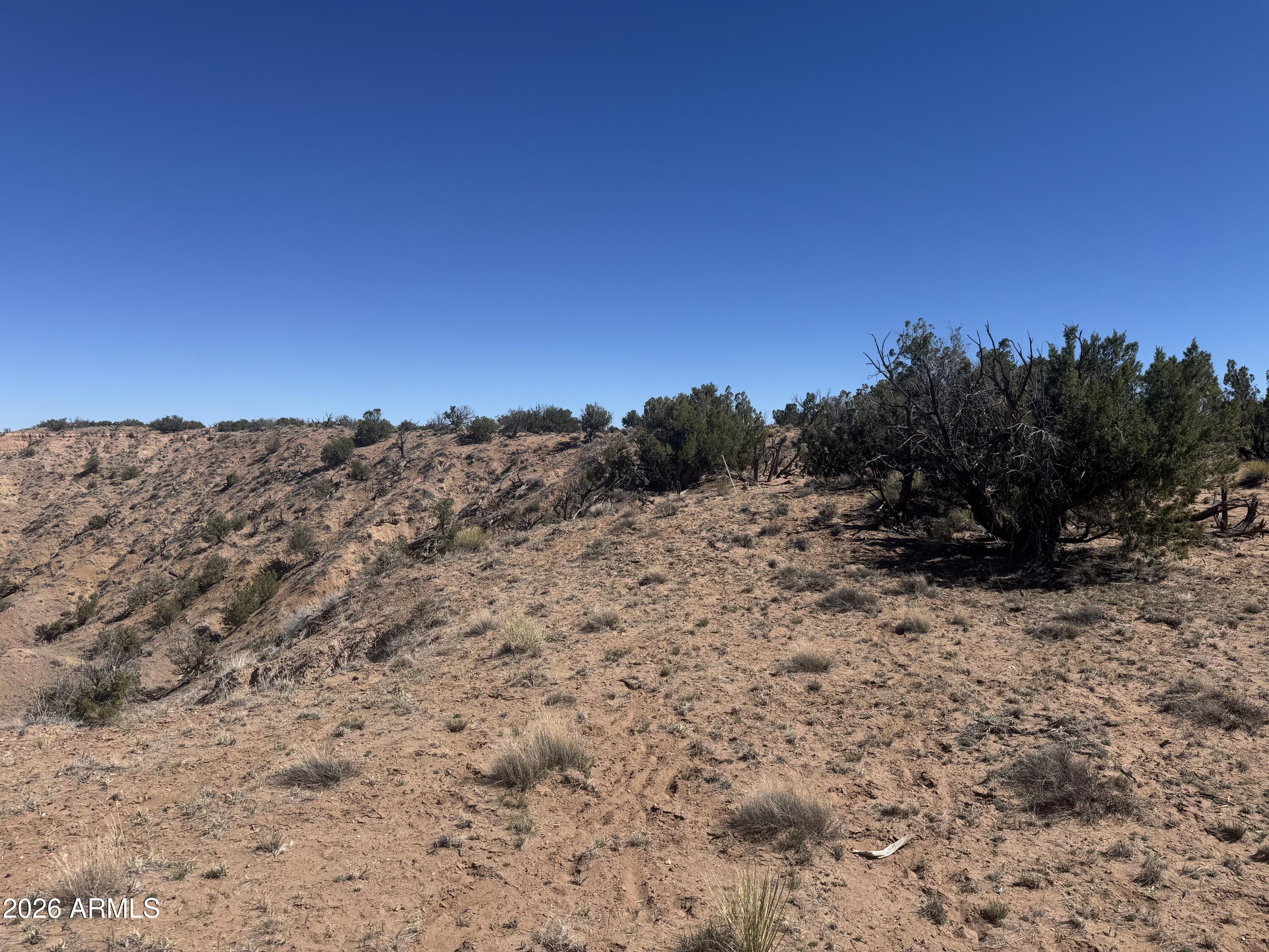 BONITO VALLEY RANCH UNIT 1 - Land