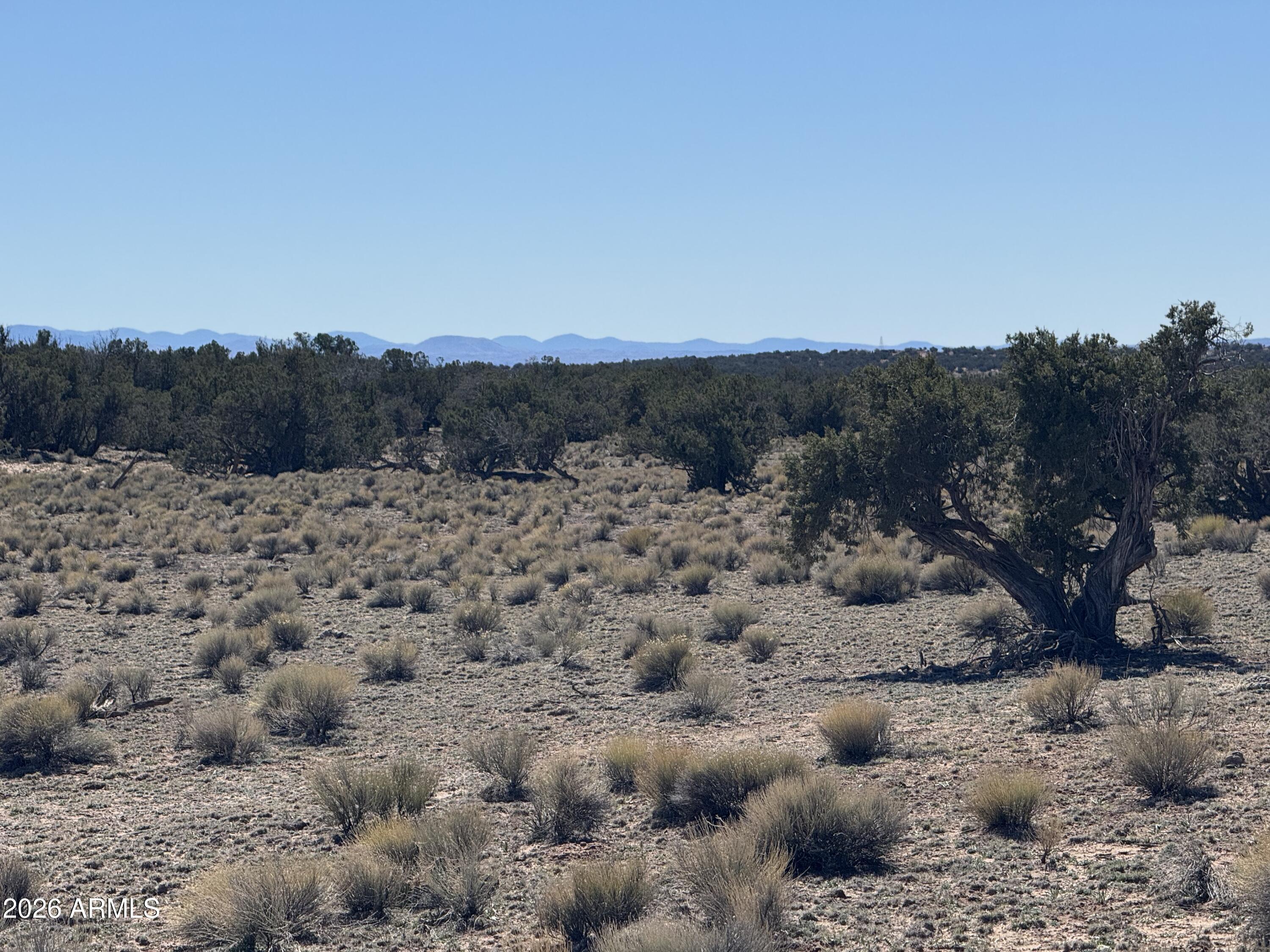BONITO VALLEY RANCH UNIT 1 - Land