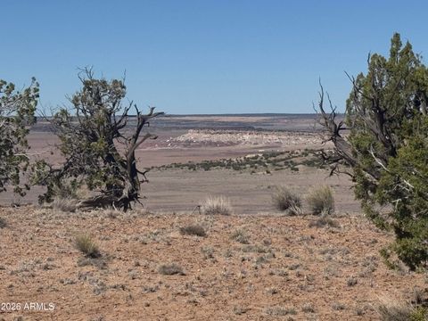 Photo of 96 Bonito Valley Ranch #96, St Johns, AZ 85936 (MLS # 7013978)