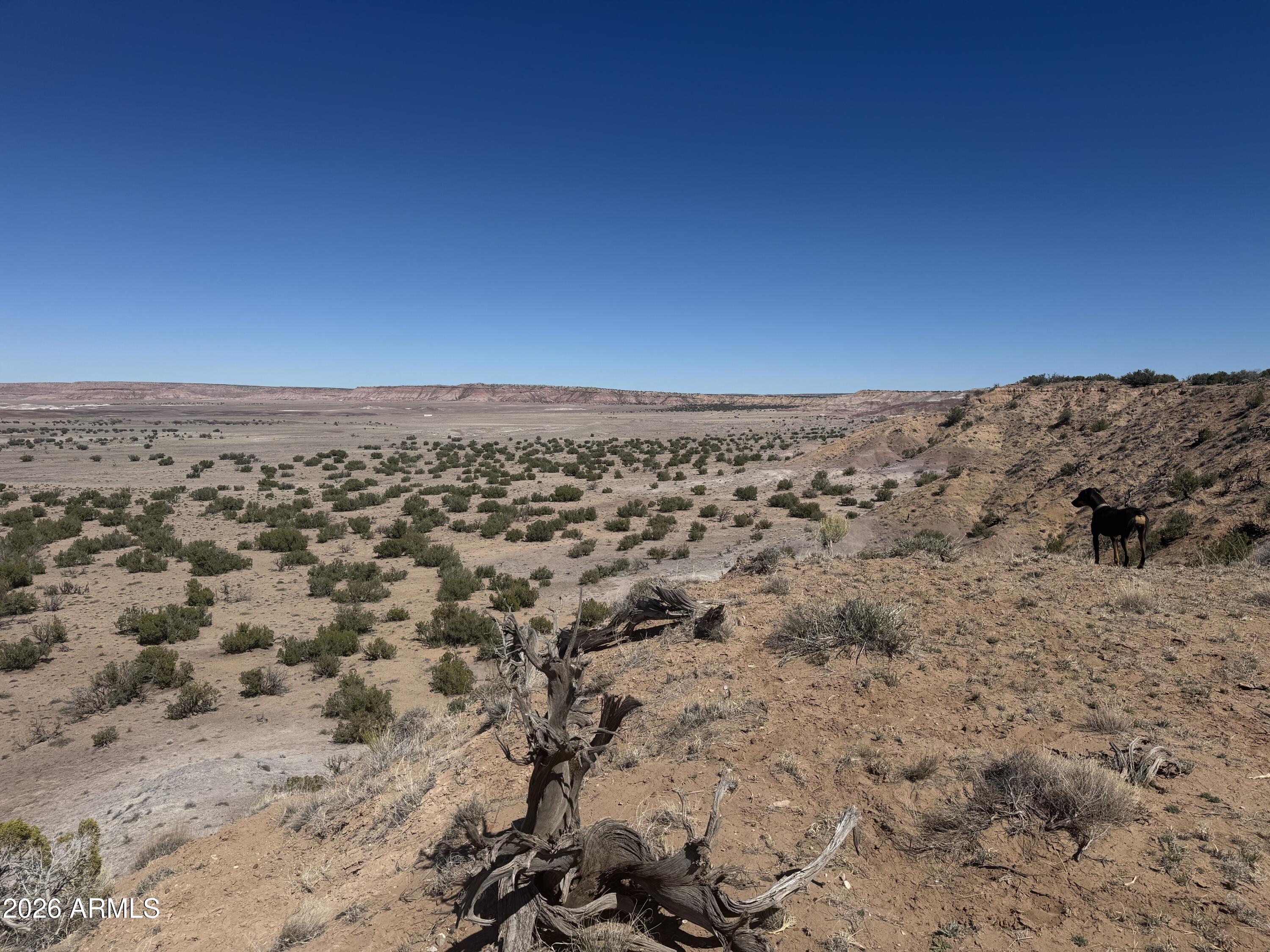 BONITO VALLEY RANCH UNIT 1 - Land