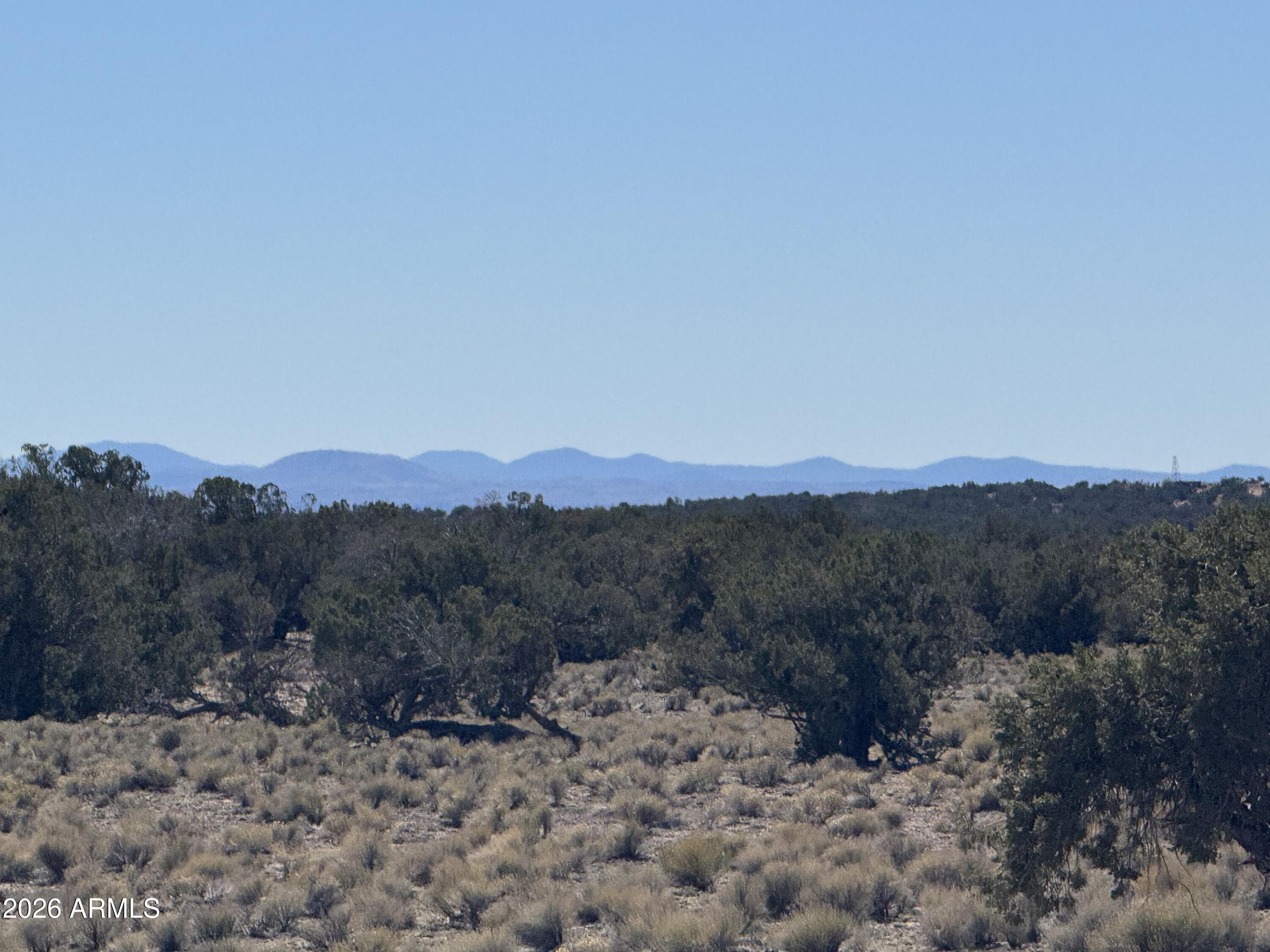 BONITO VALLEY RANCH UNIT 1 - Land