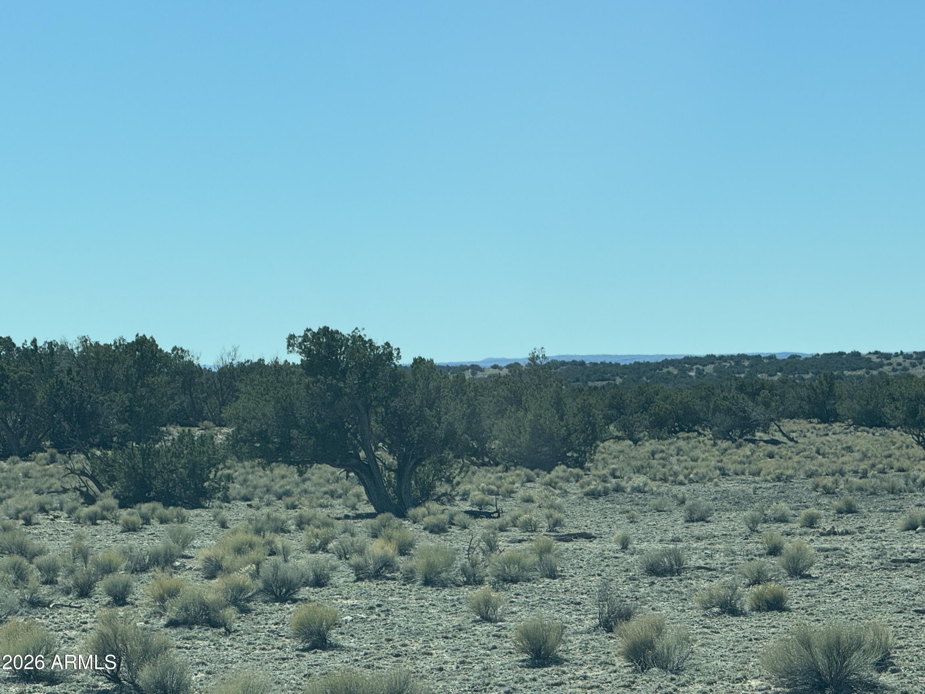 BONITO VALLEY RANCH UNIT 1 - Land
