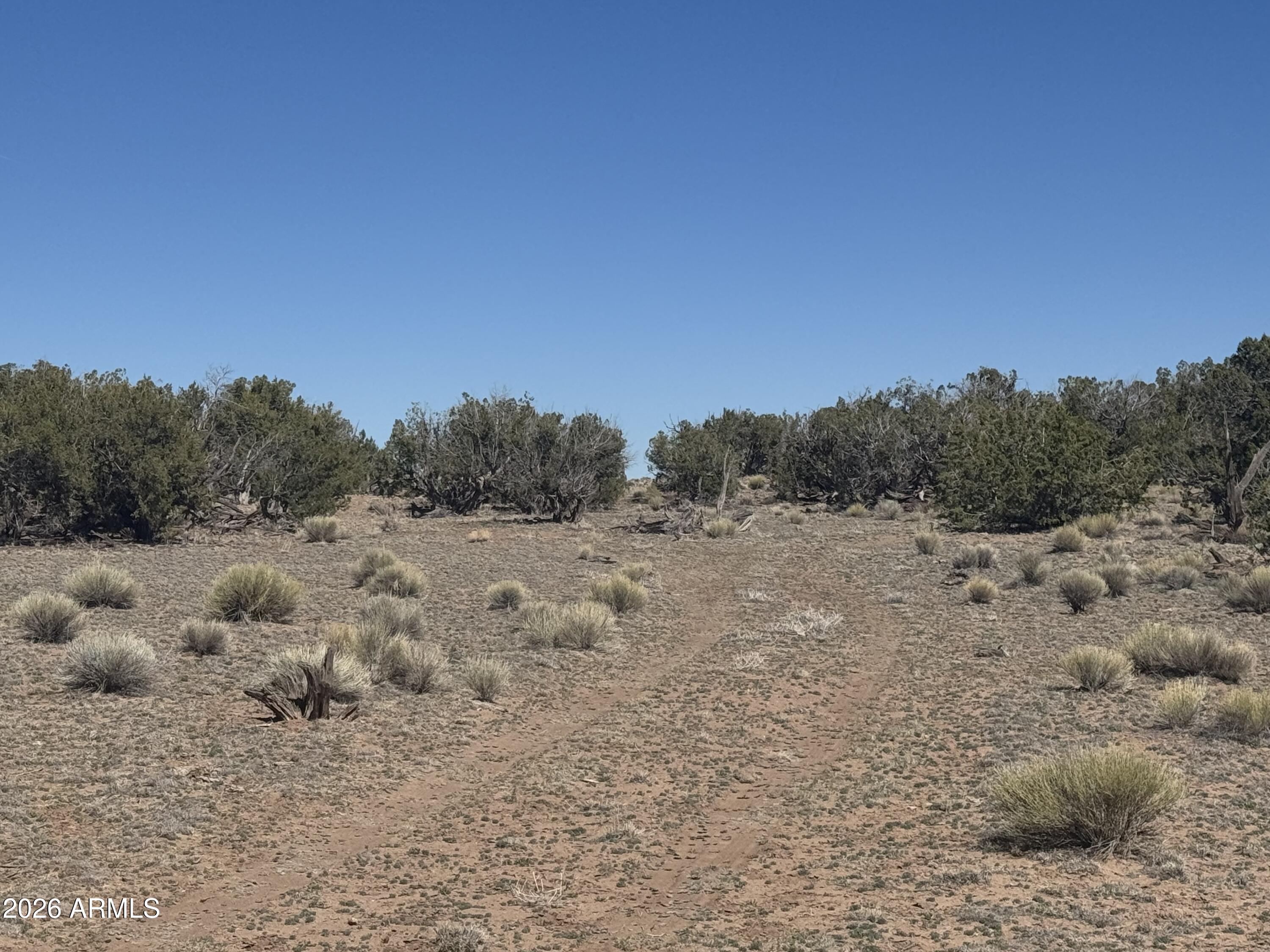 BONITO VALLEY RANCH UNIT 1 - Land