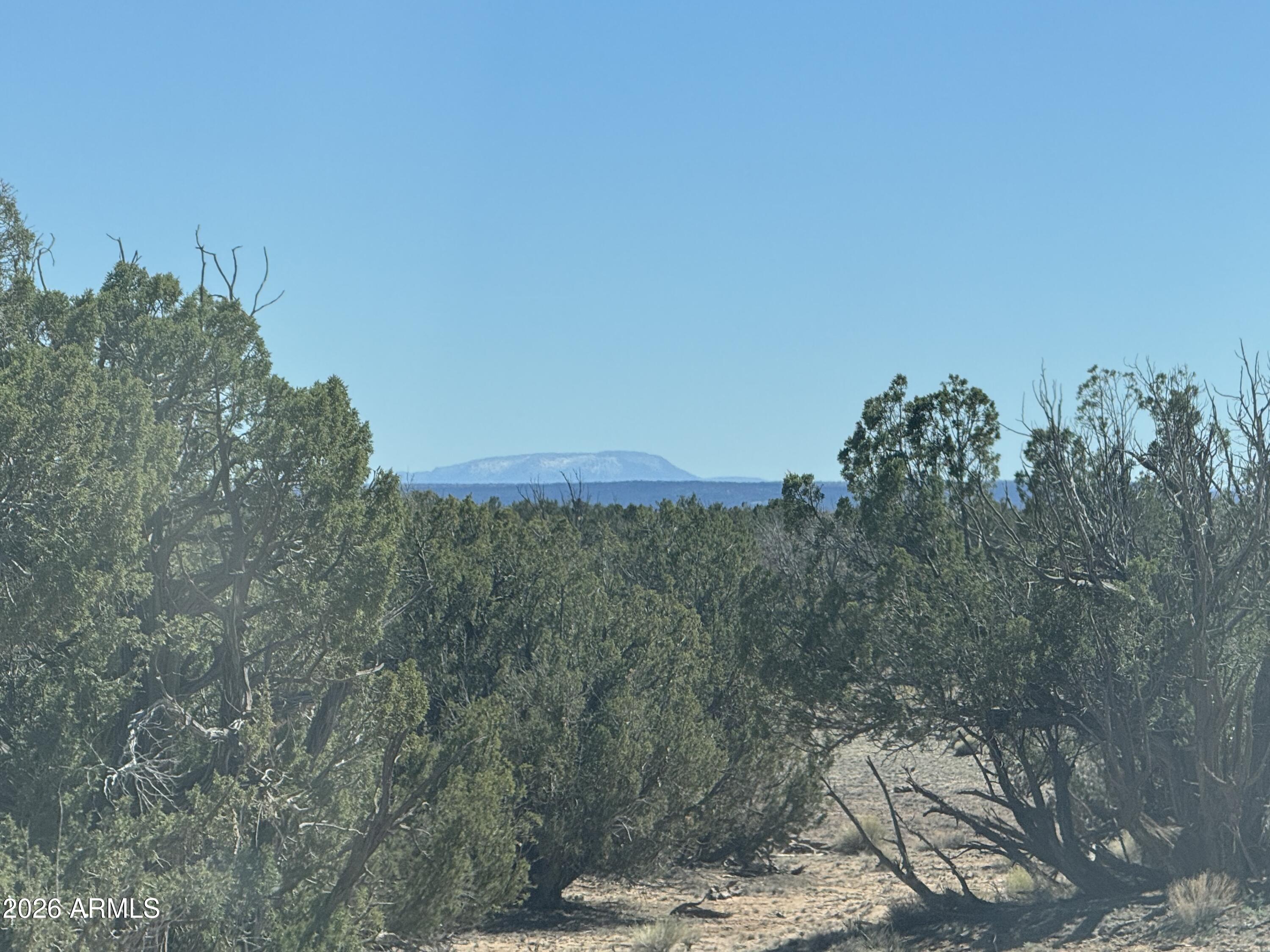BONITO VALLEY RANCH UNIT 1 - Land
