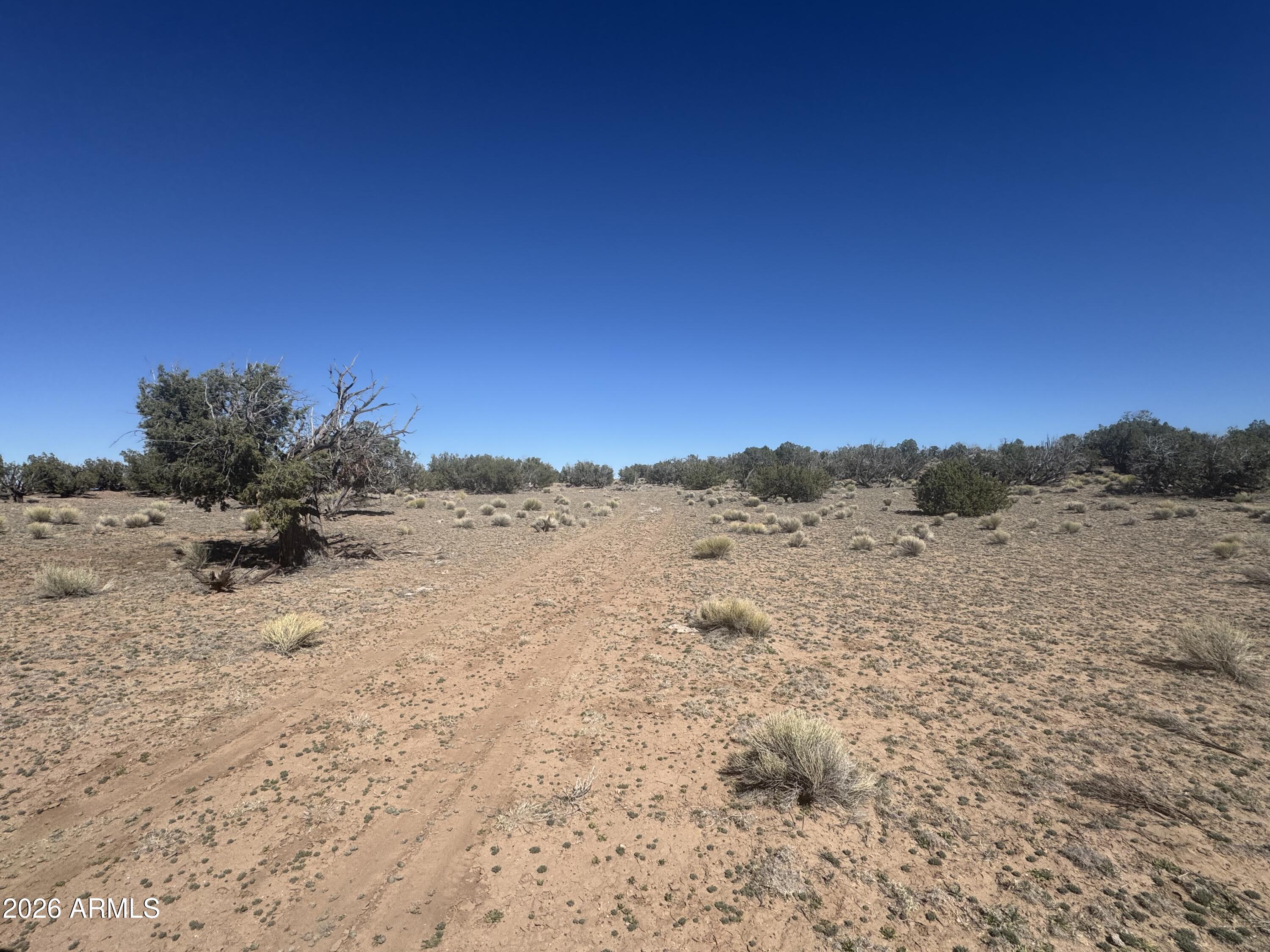 BONITO VALLEY RANCH UNIT 1 - Land