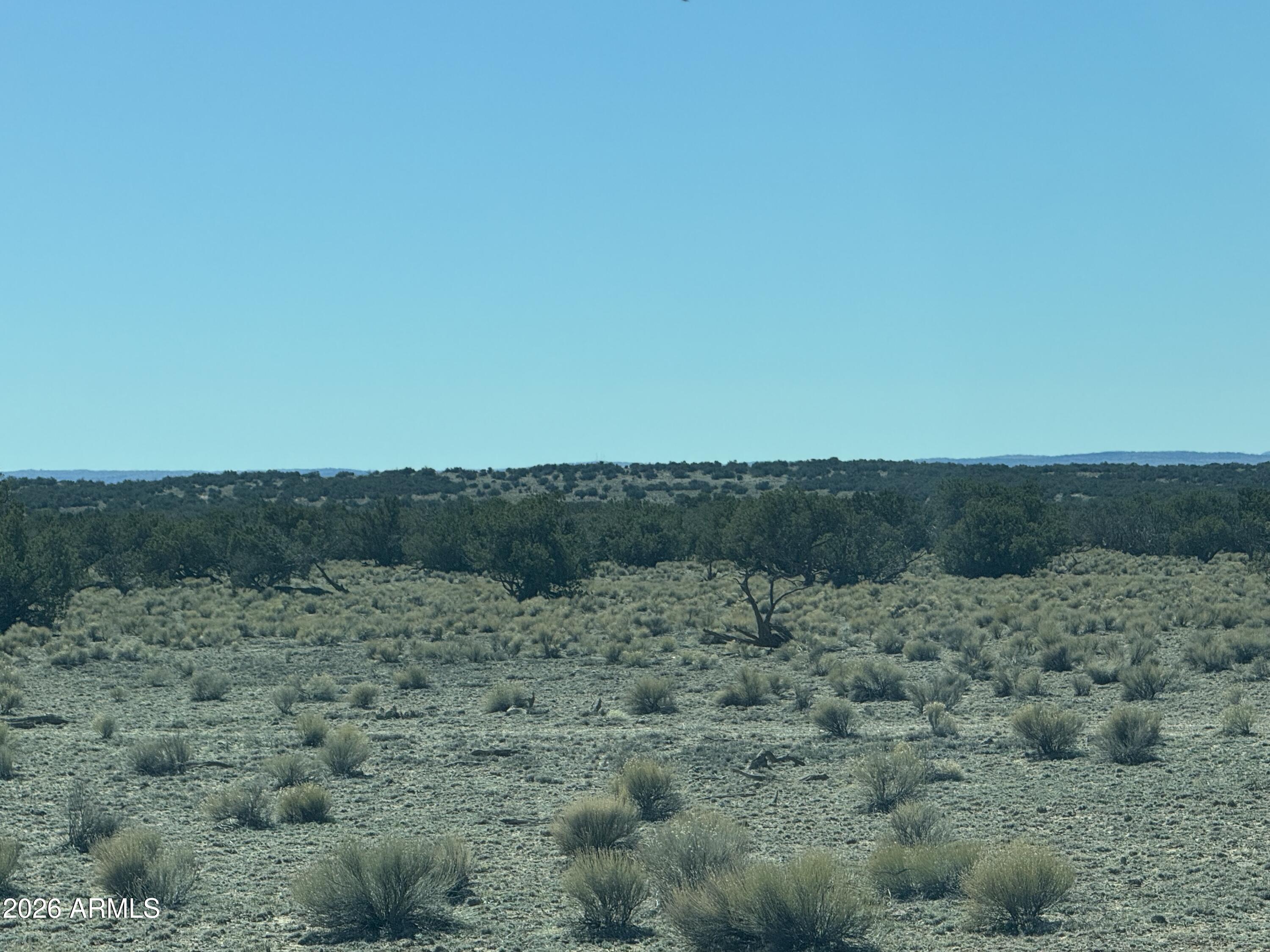 BONITO VALLEY RANCH UNIT 1 - Land