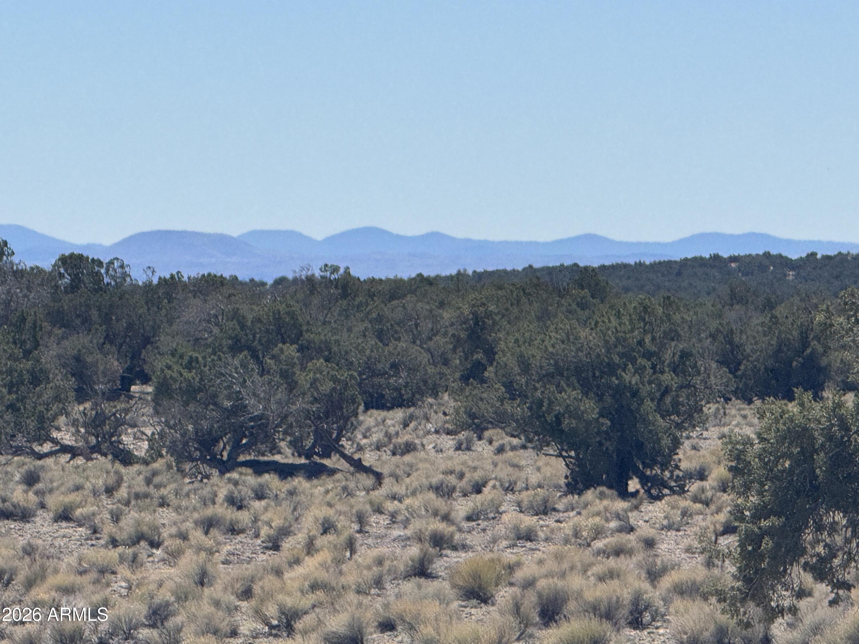 BONITO VALLEY RANCH UNIT 1 - Land