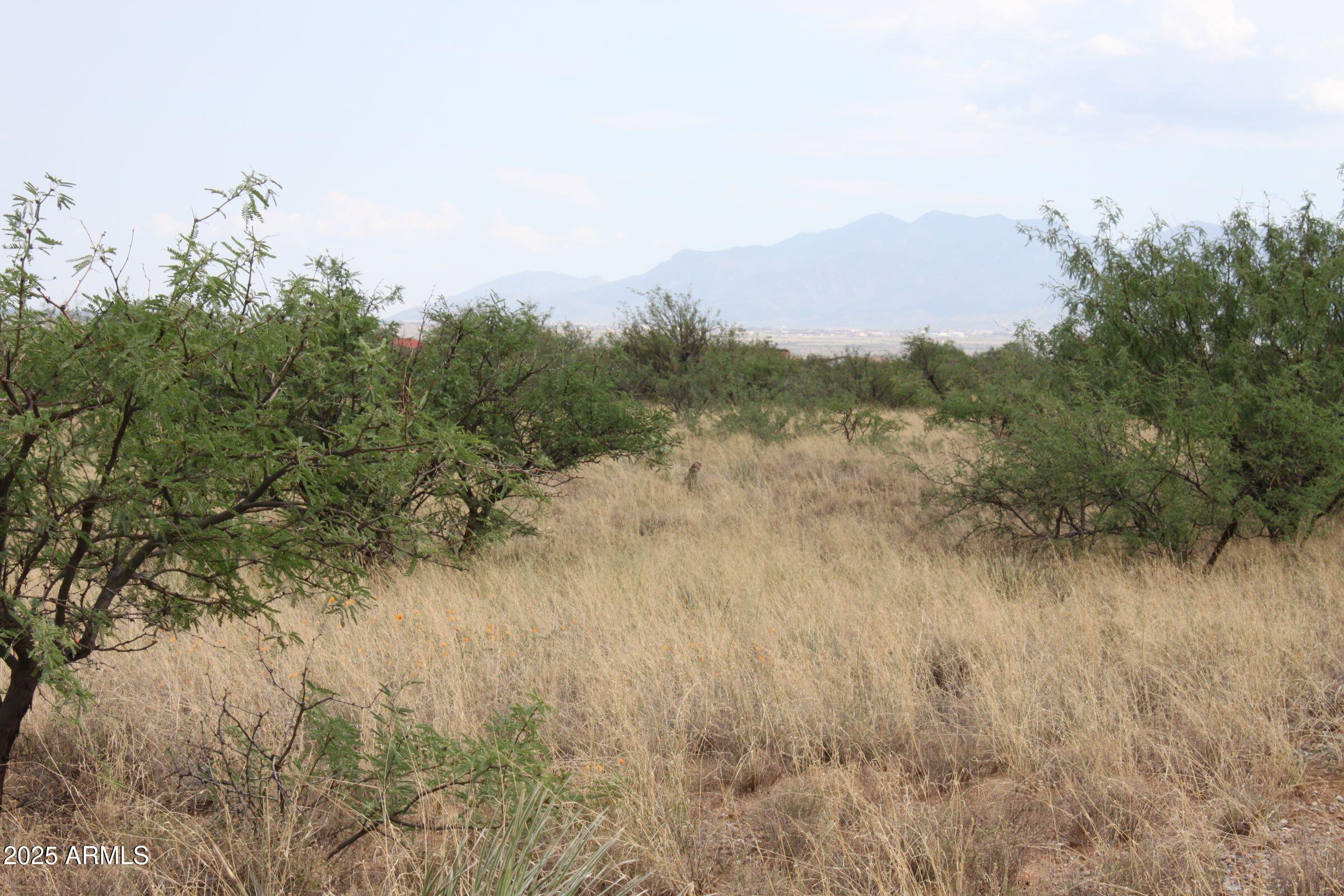 019B Copper Sky Road 6