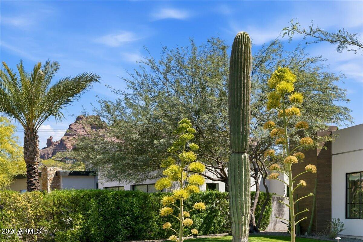MARION ESTATES BLK A - Residential