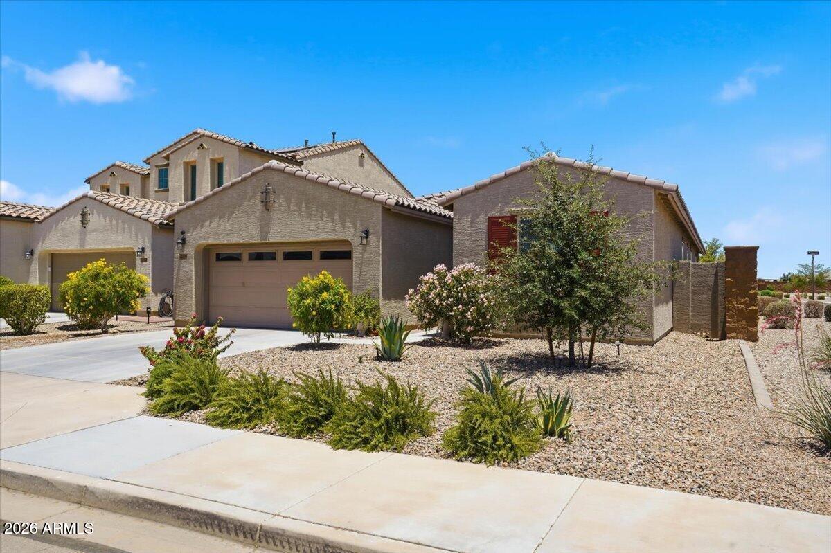 22555 N Diamond Drive