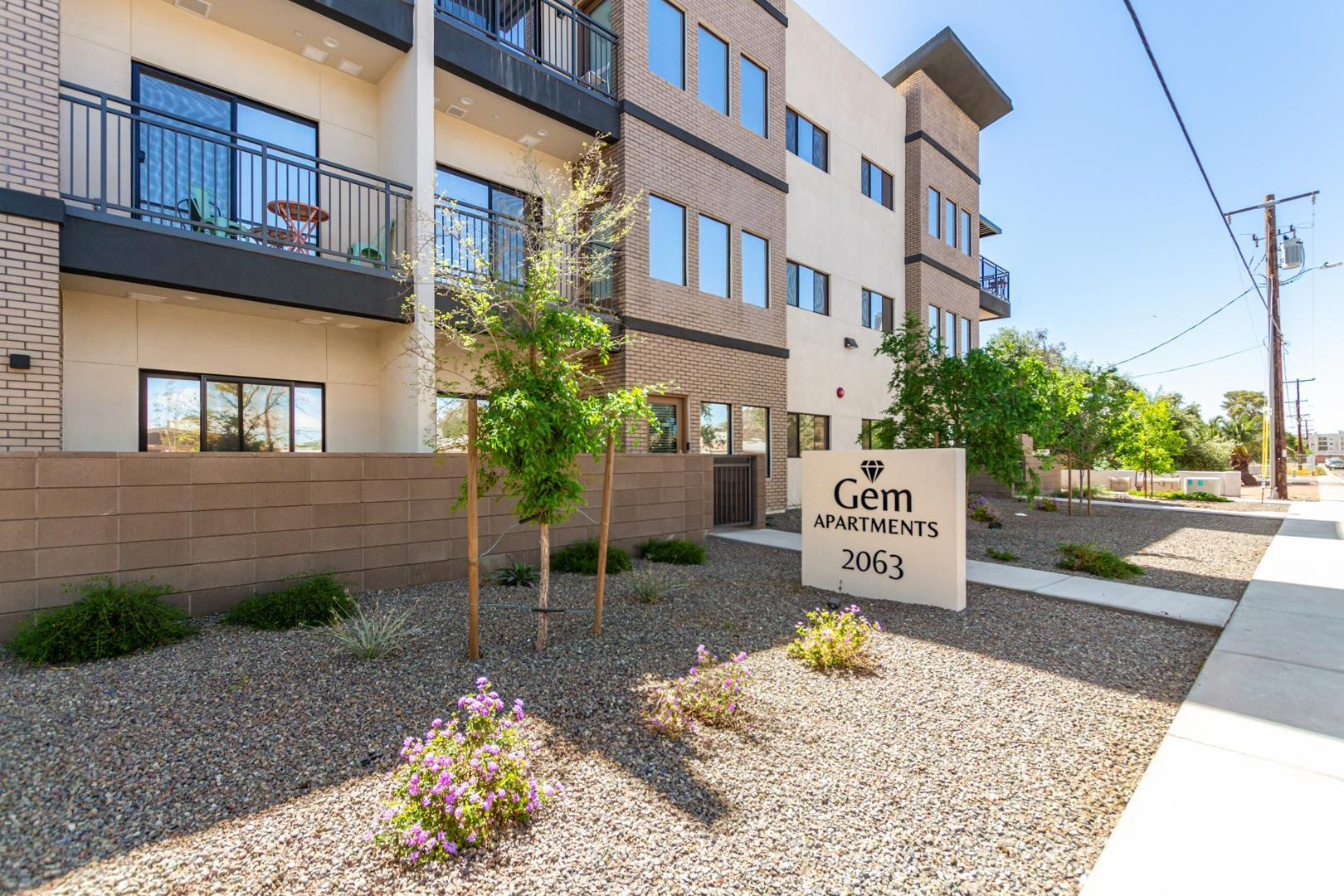 2063 E Lemon Street 3004