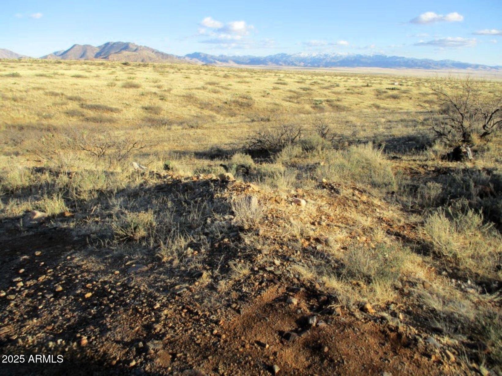 38.00ac E Love Lane 53