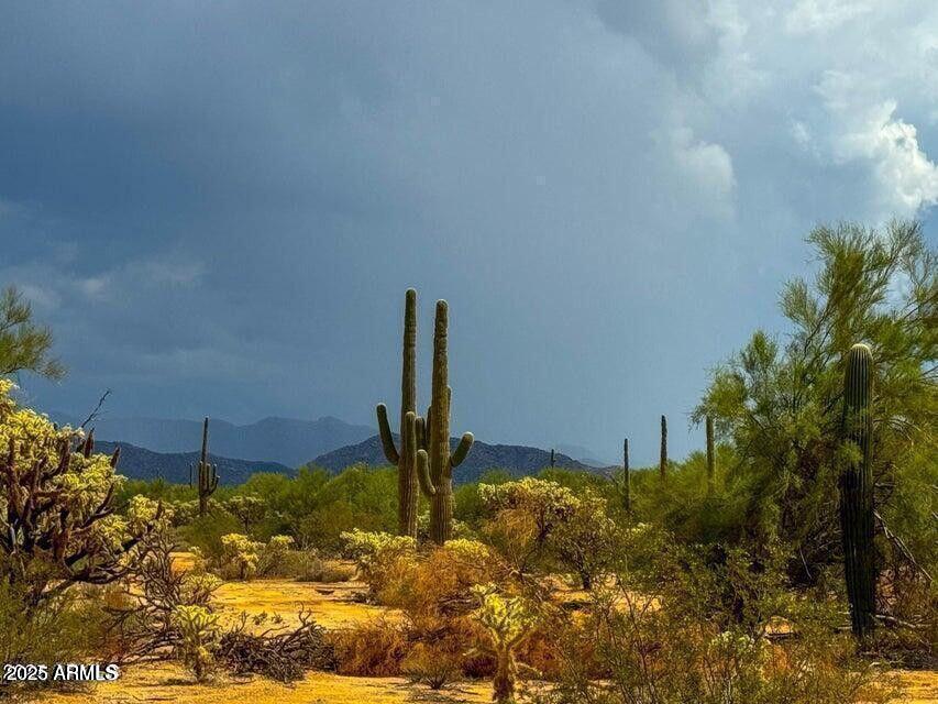 0 S Twin Hawk Ln Lot #4 5 Acres -- -