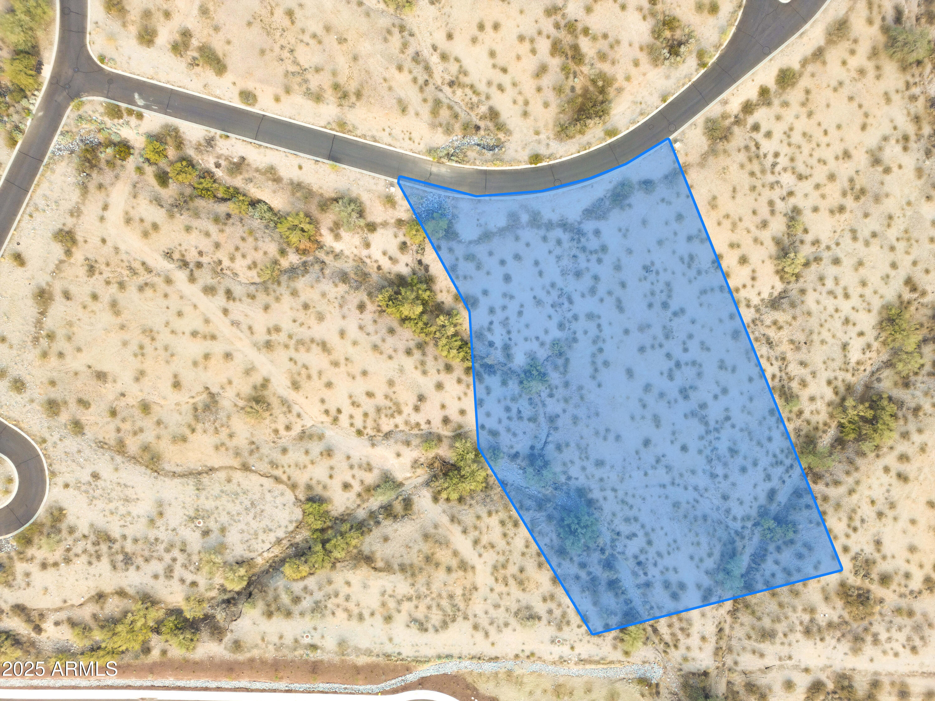 21287 W BLACK ROCK Drive 96