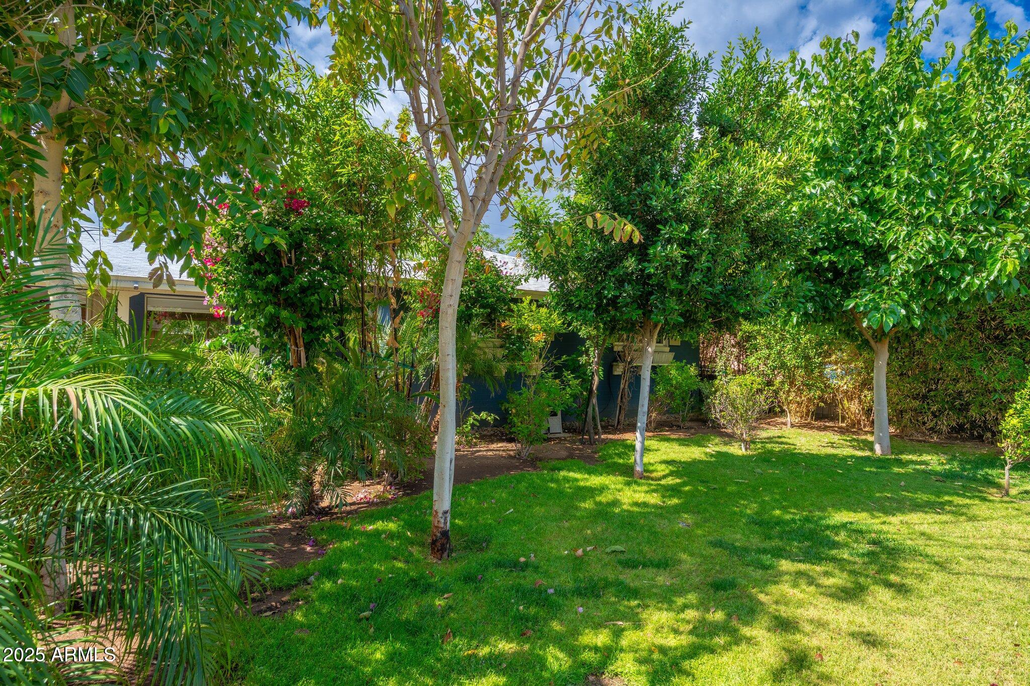 2219 W CATALINA Drive