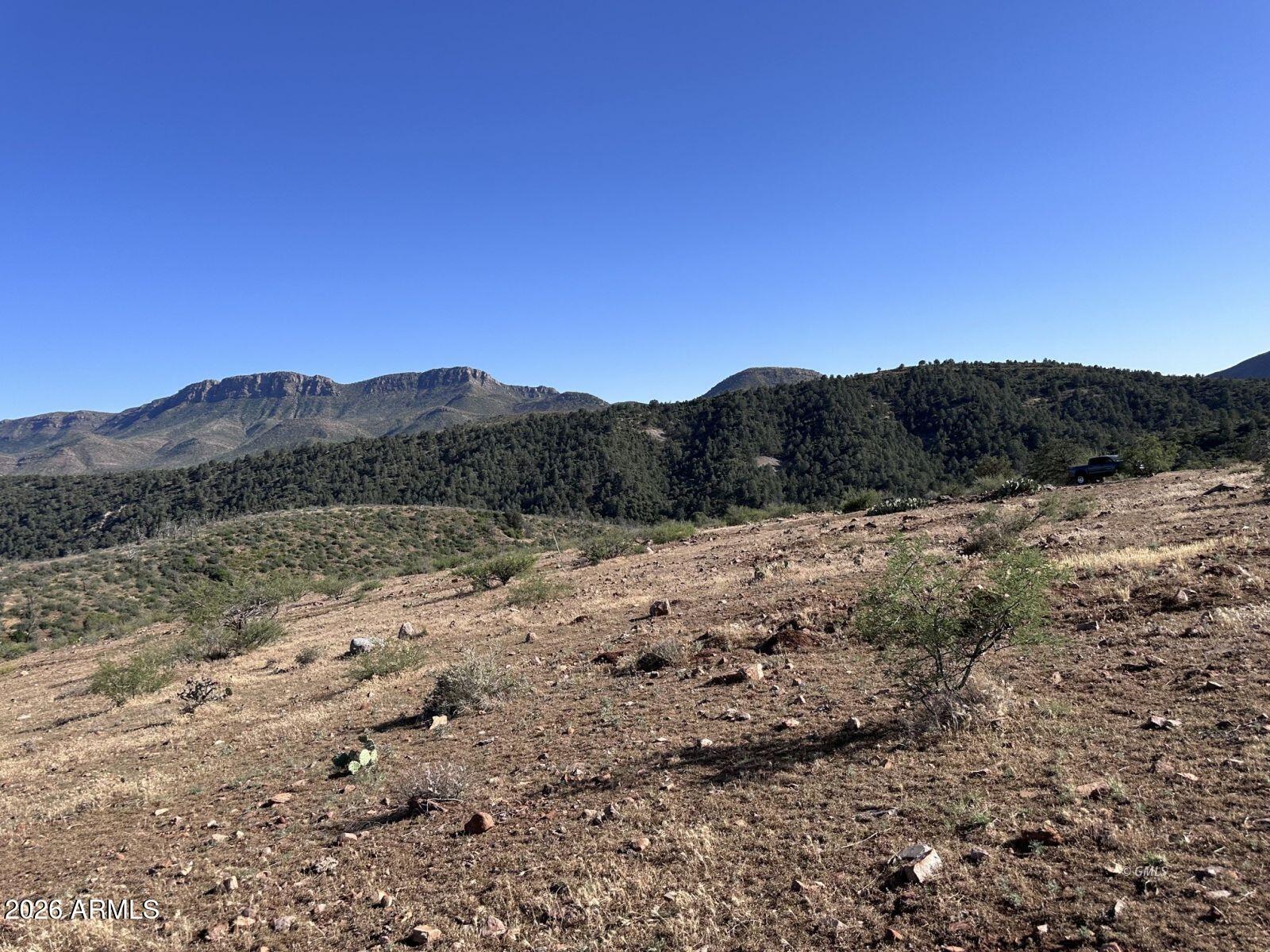 1076 E Horseshoe Springs Road -
