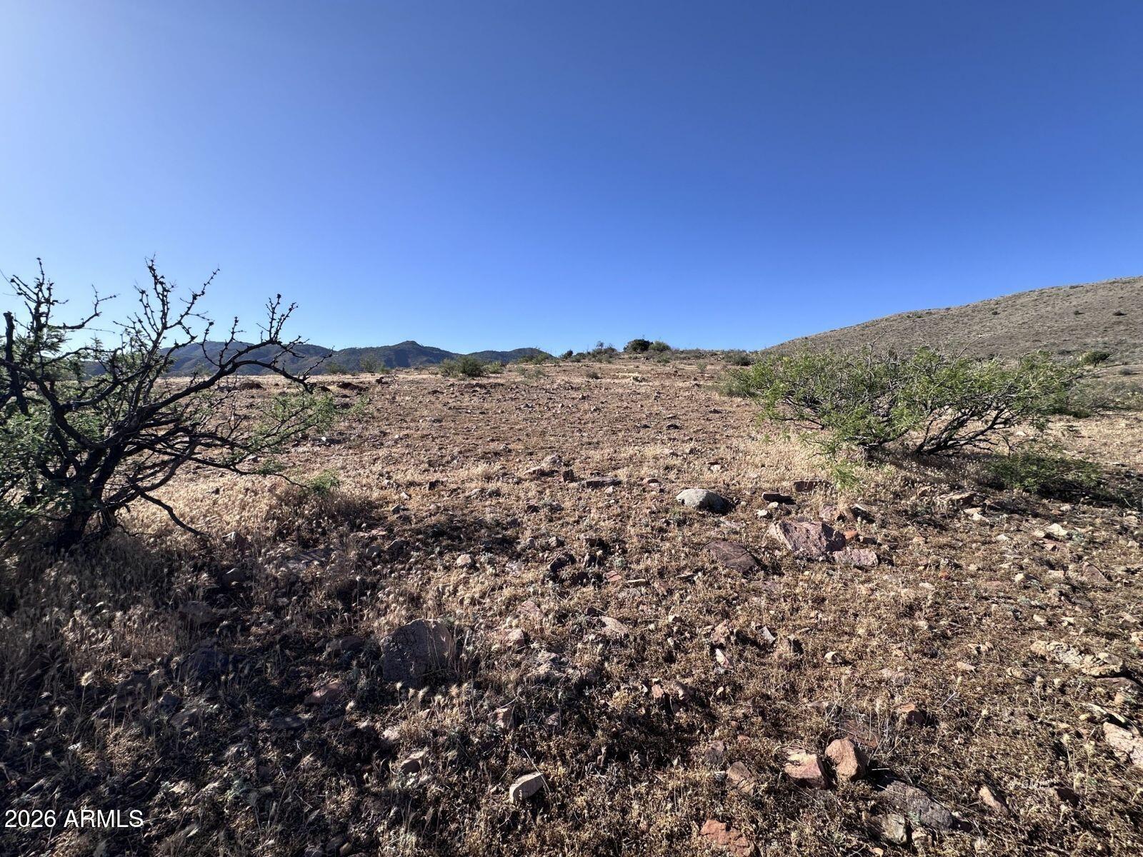 1076 E Horseshoe Springs Road -