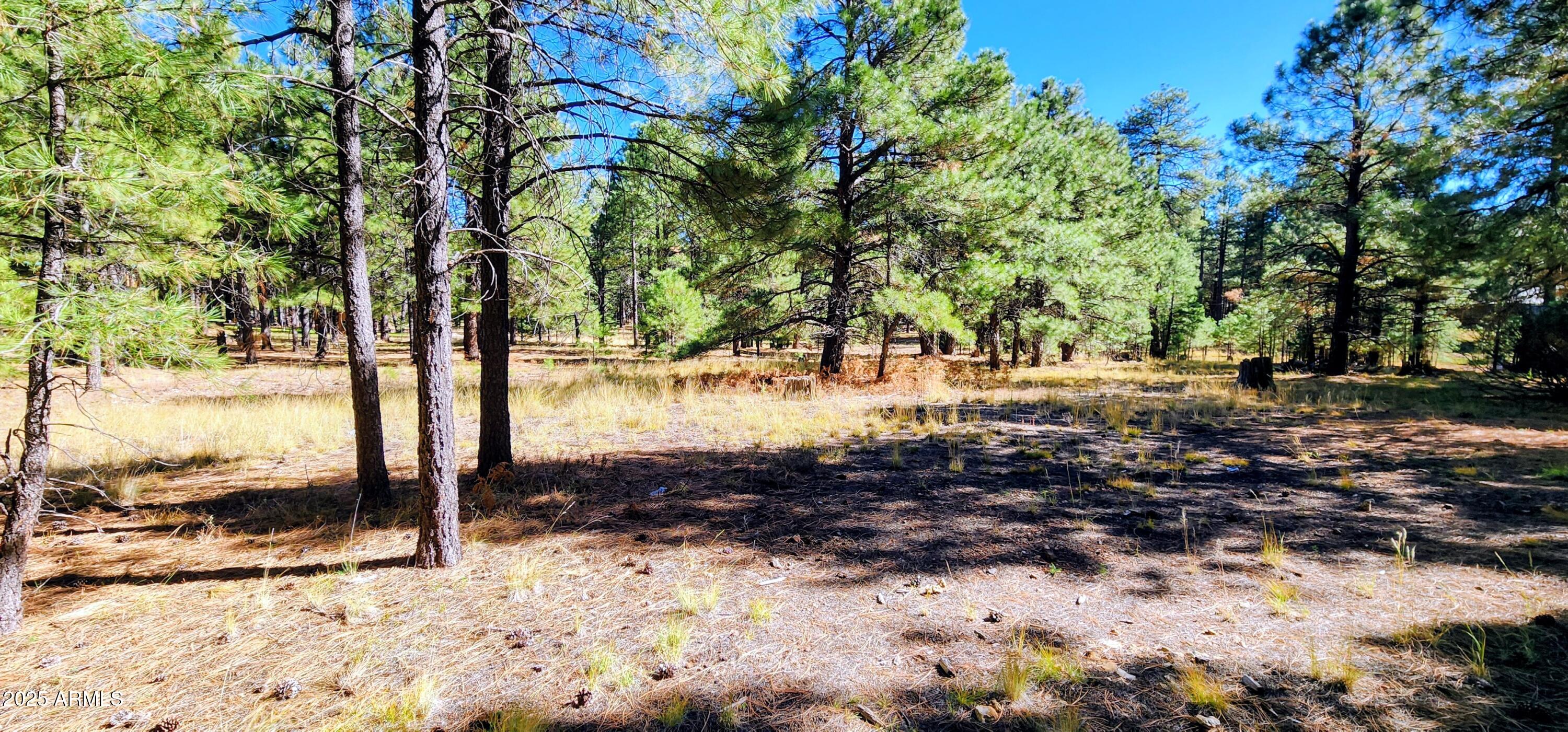 1958 FERRET Circle 260