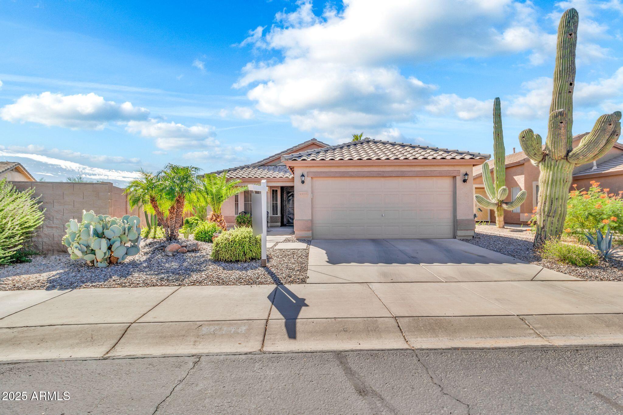 30178 N CORAL BEAN Drive